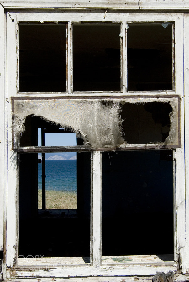 Nikon D200 sample photo. In memory of artist photography