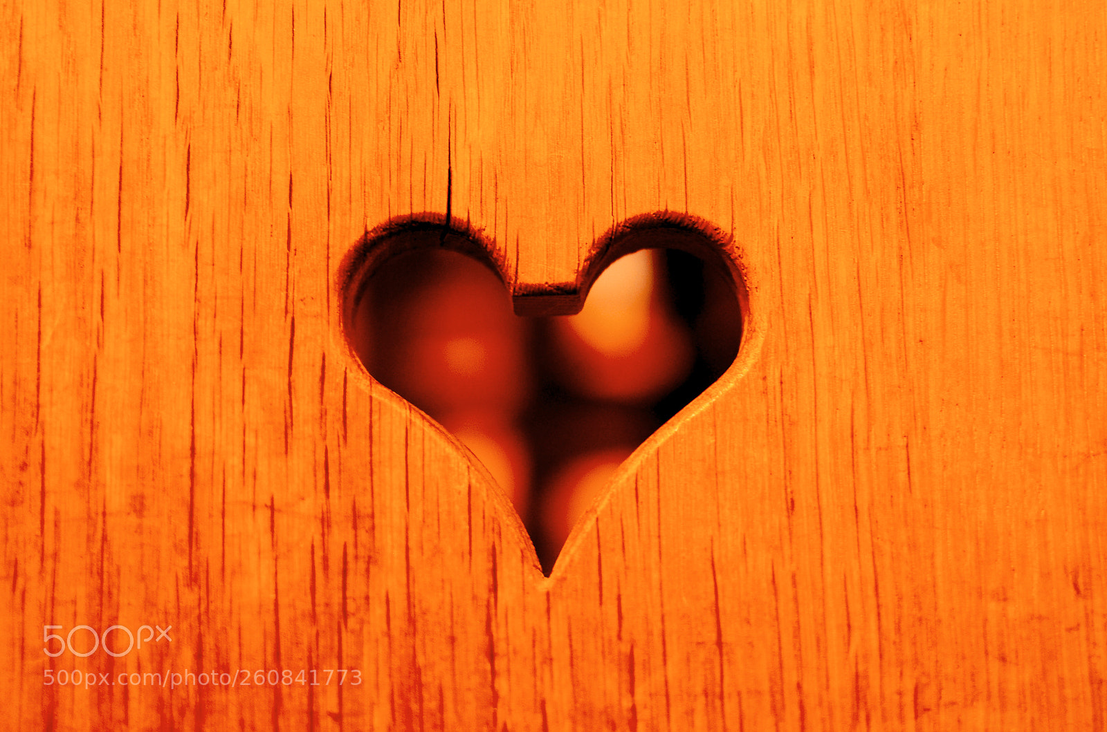 Nikon D5100 sample photo. <3 photography
