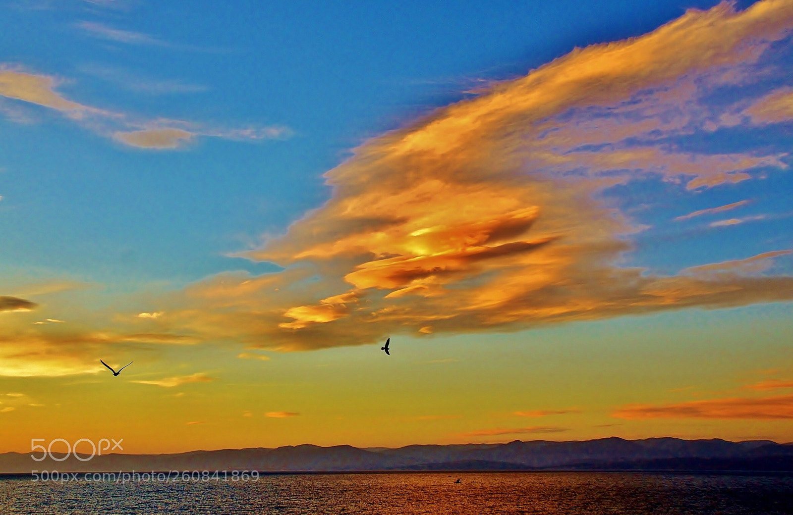 Nikon D7000 sample photo. Good afternoon view photography