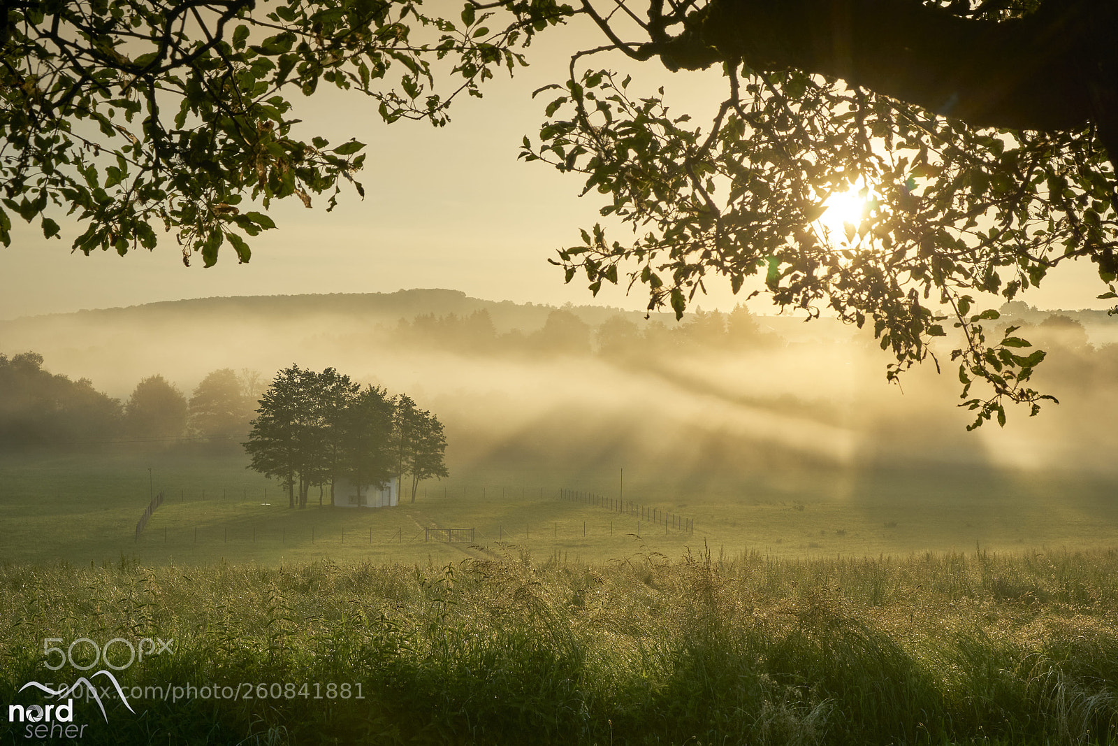 Sony ILCA-77M2 sample photo. Misty morning photography