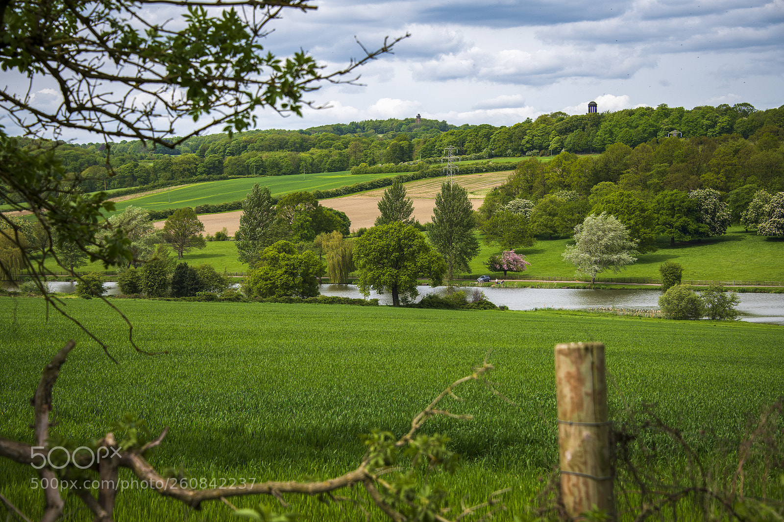 Nikon D850 sample photo. Yorkshire photography