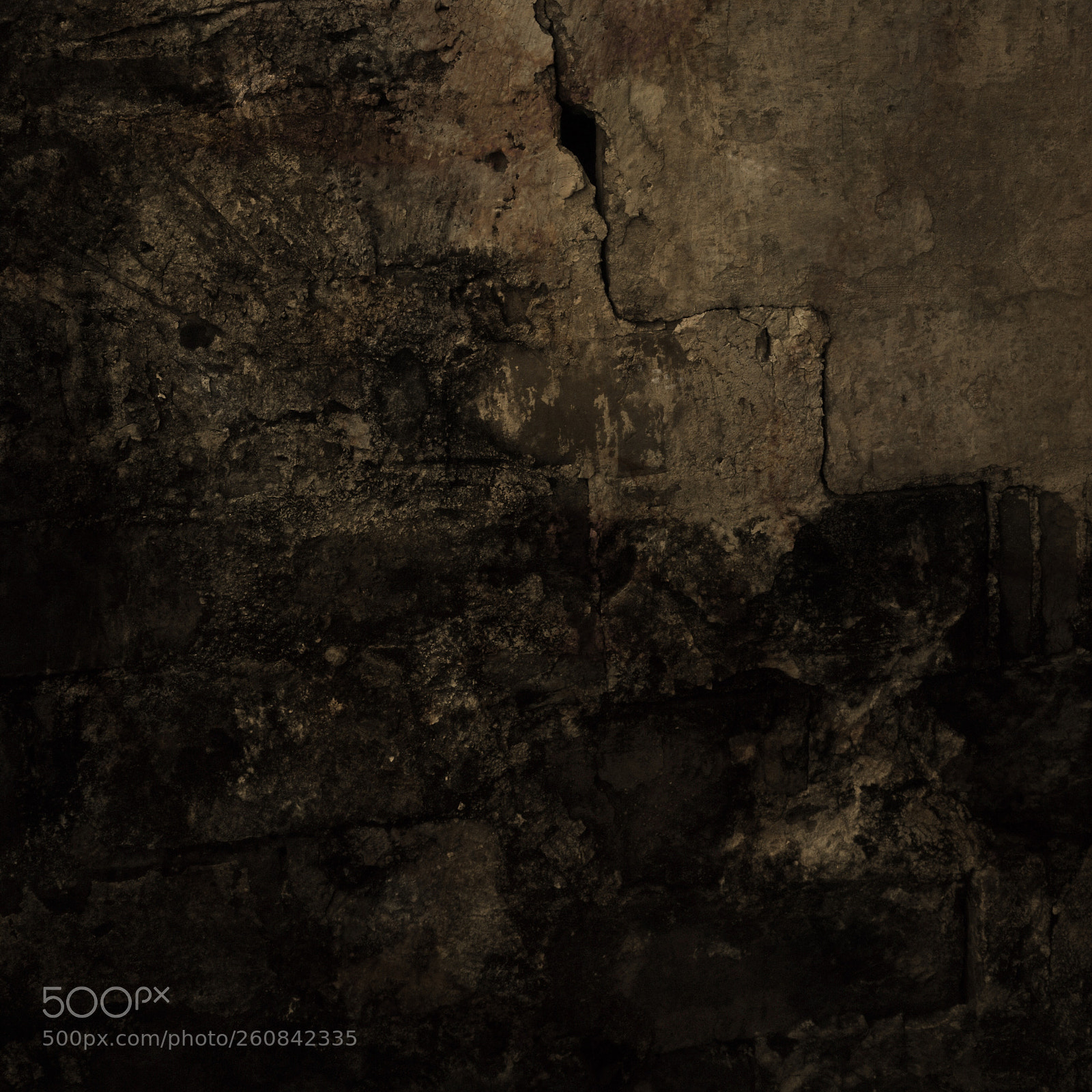 Canon EOS 5DS R sample photo. Untitled photography