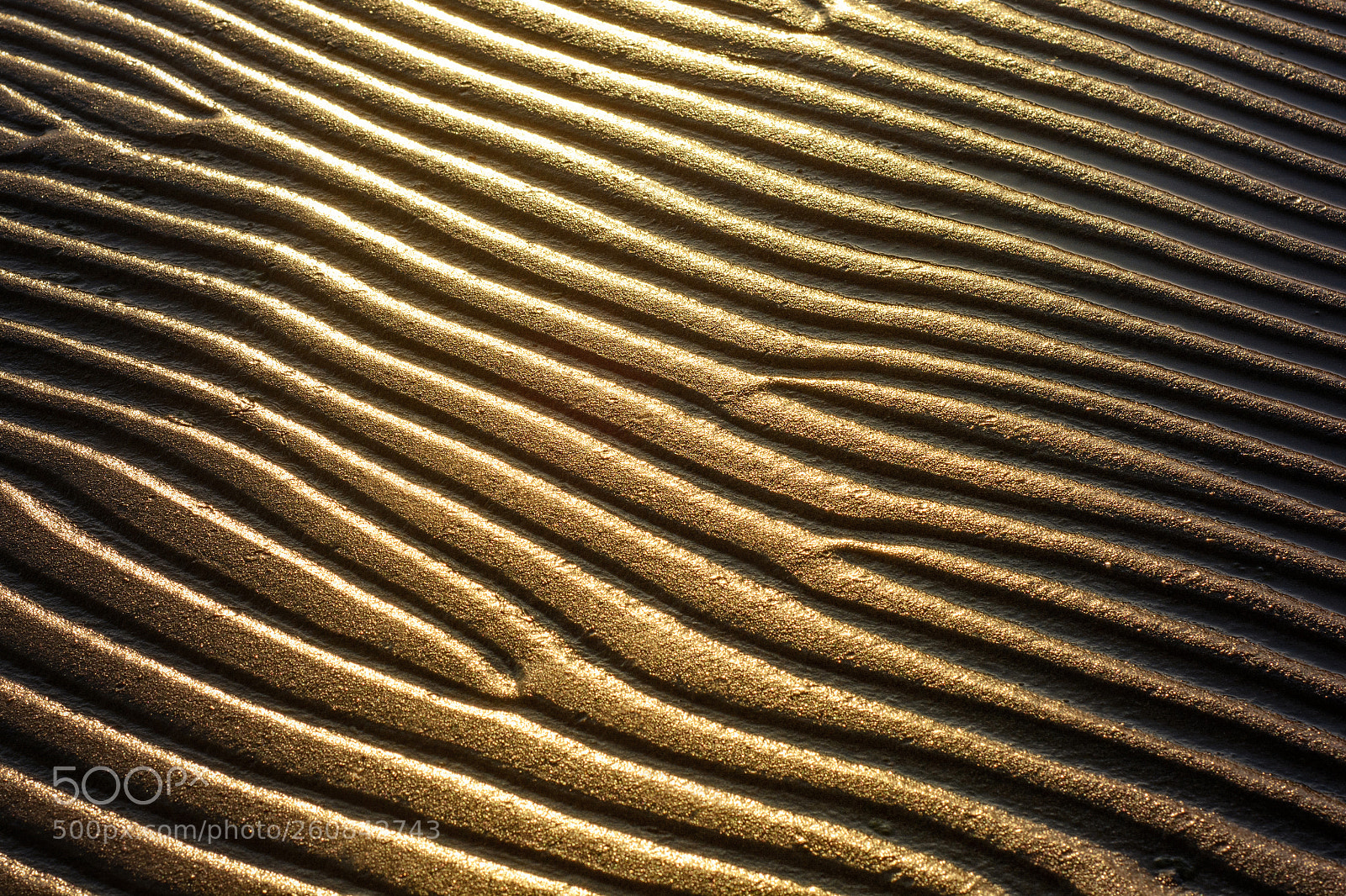 Nikon D7100 sample photo. Golden sand of the photography