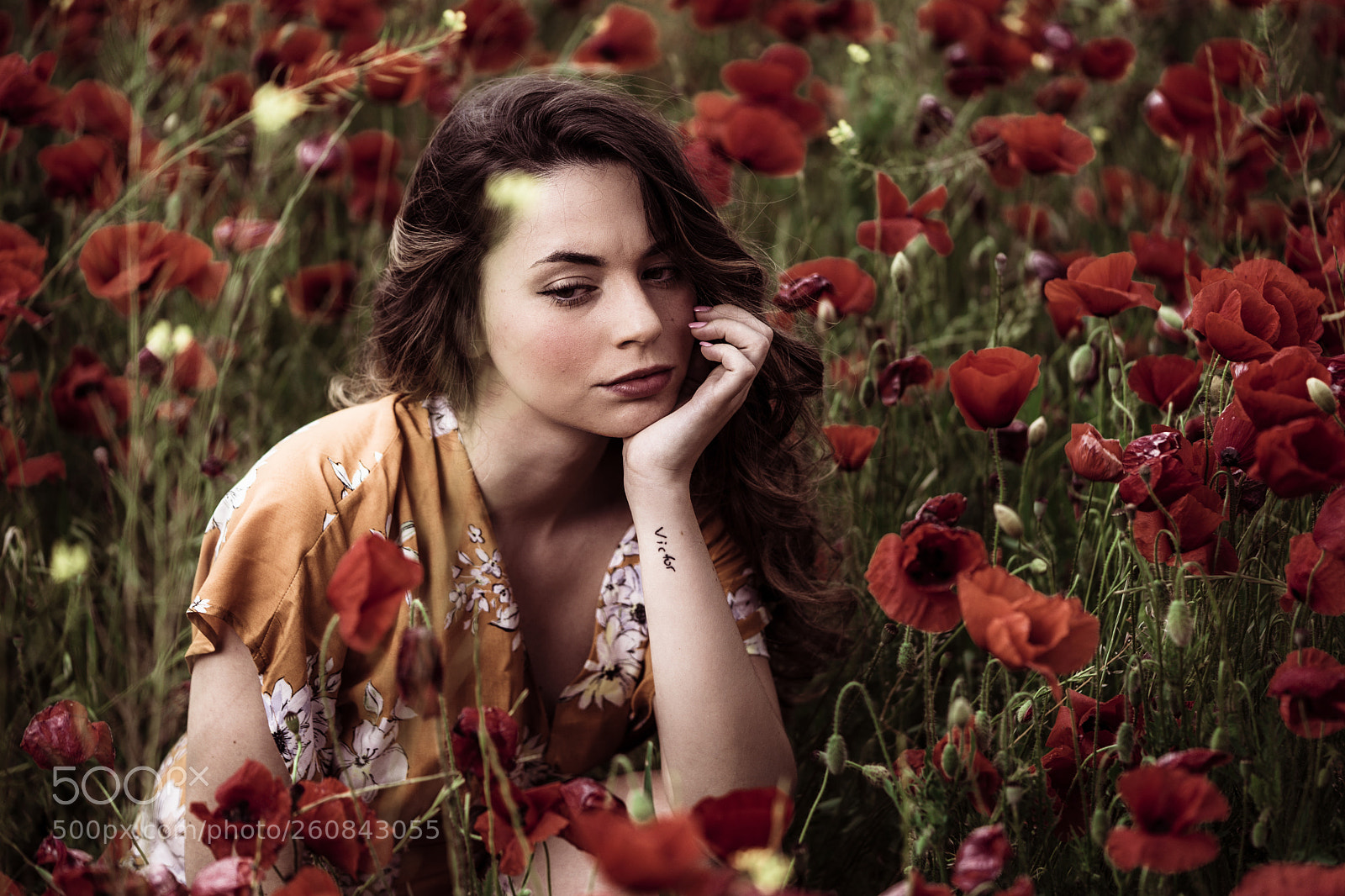 Sony a7 II sample photo. Amapolas photography