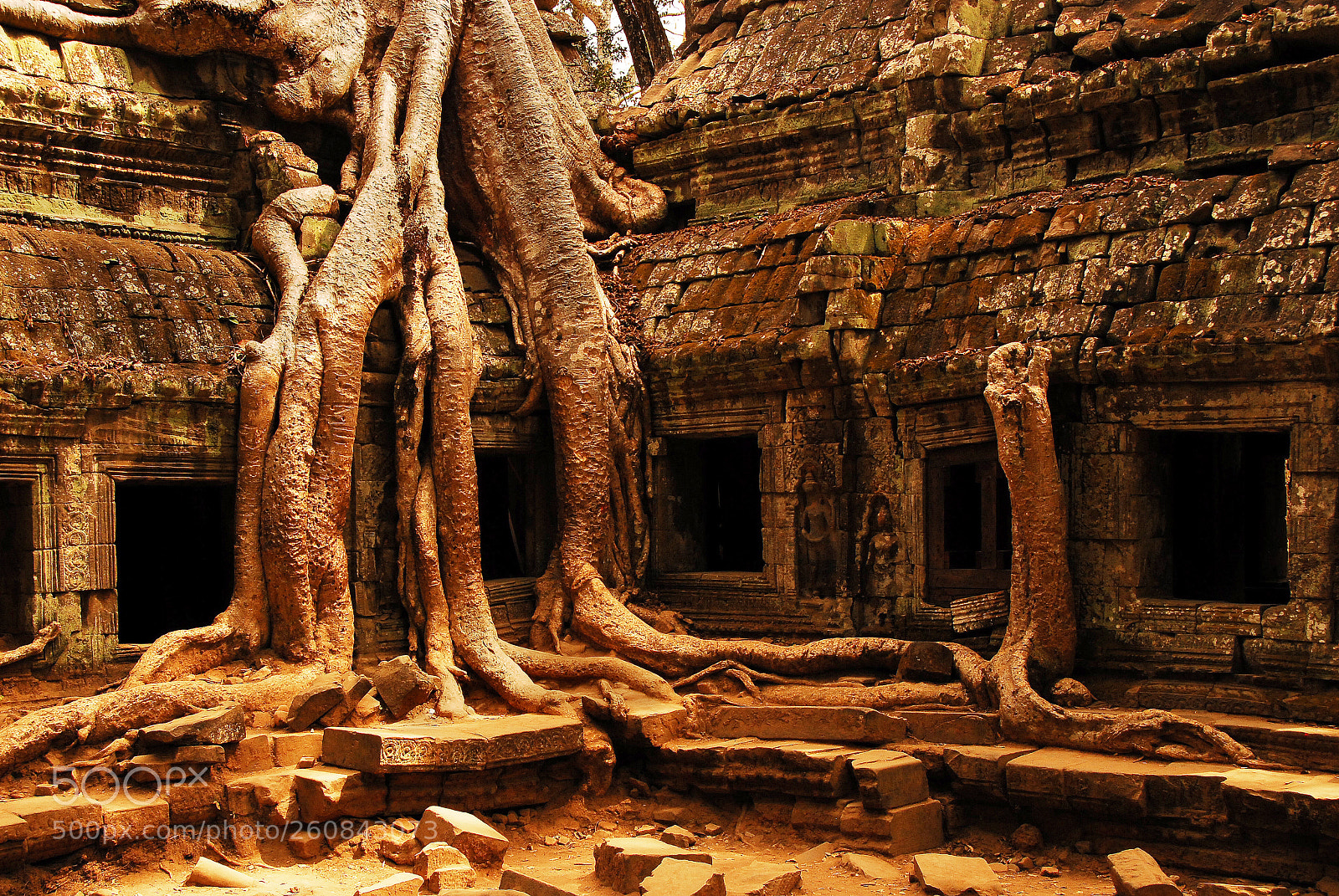 Nikon D200 sample photo. Remembering ta prohm photography