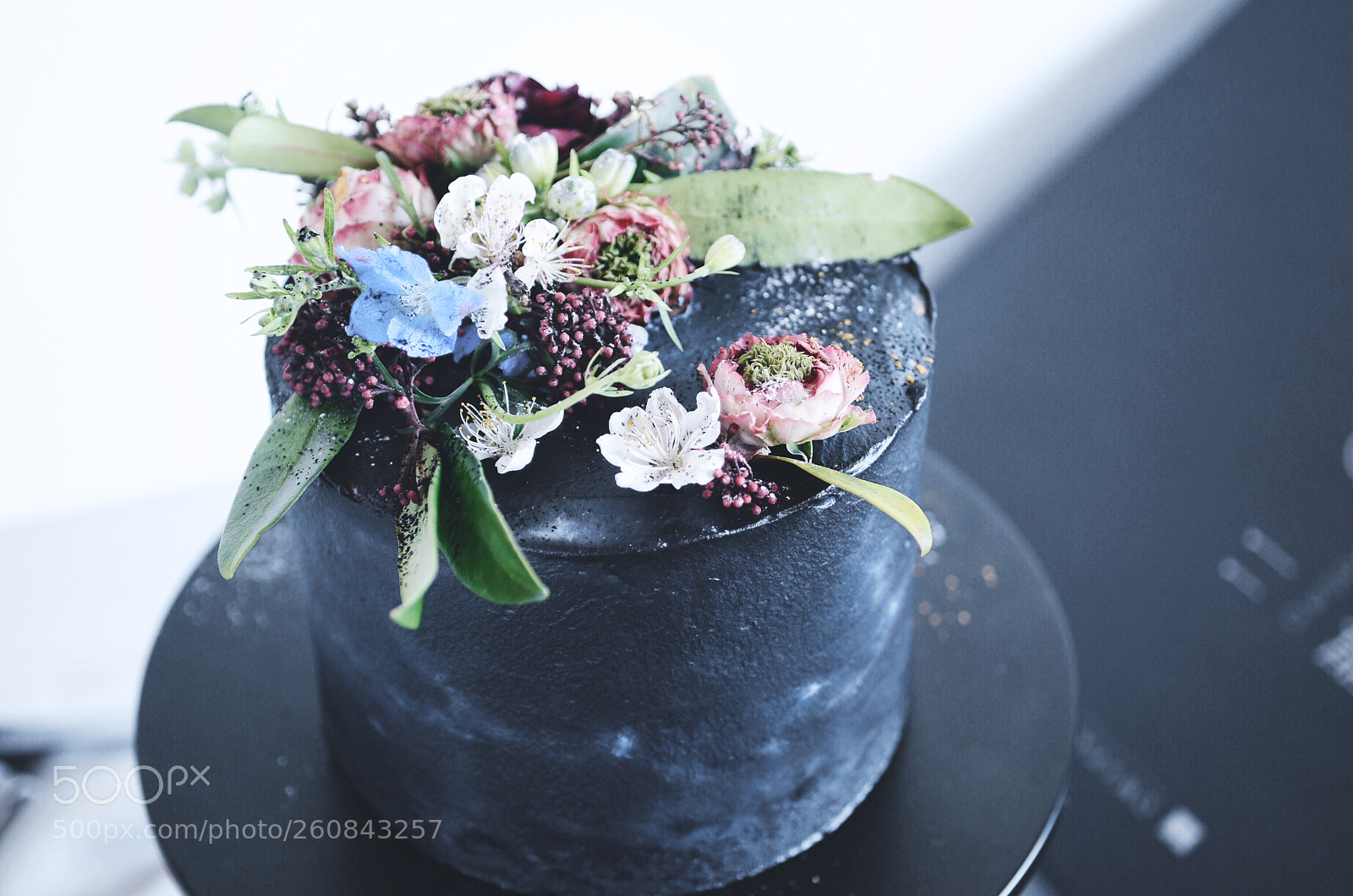 Nikon D7000 sample photo. Untitled photography