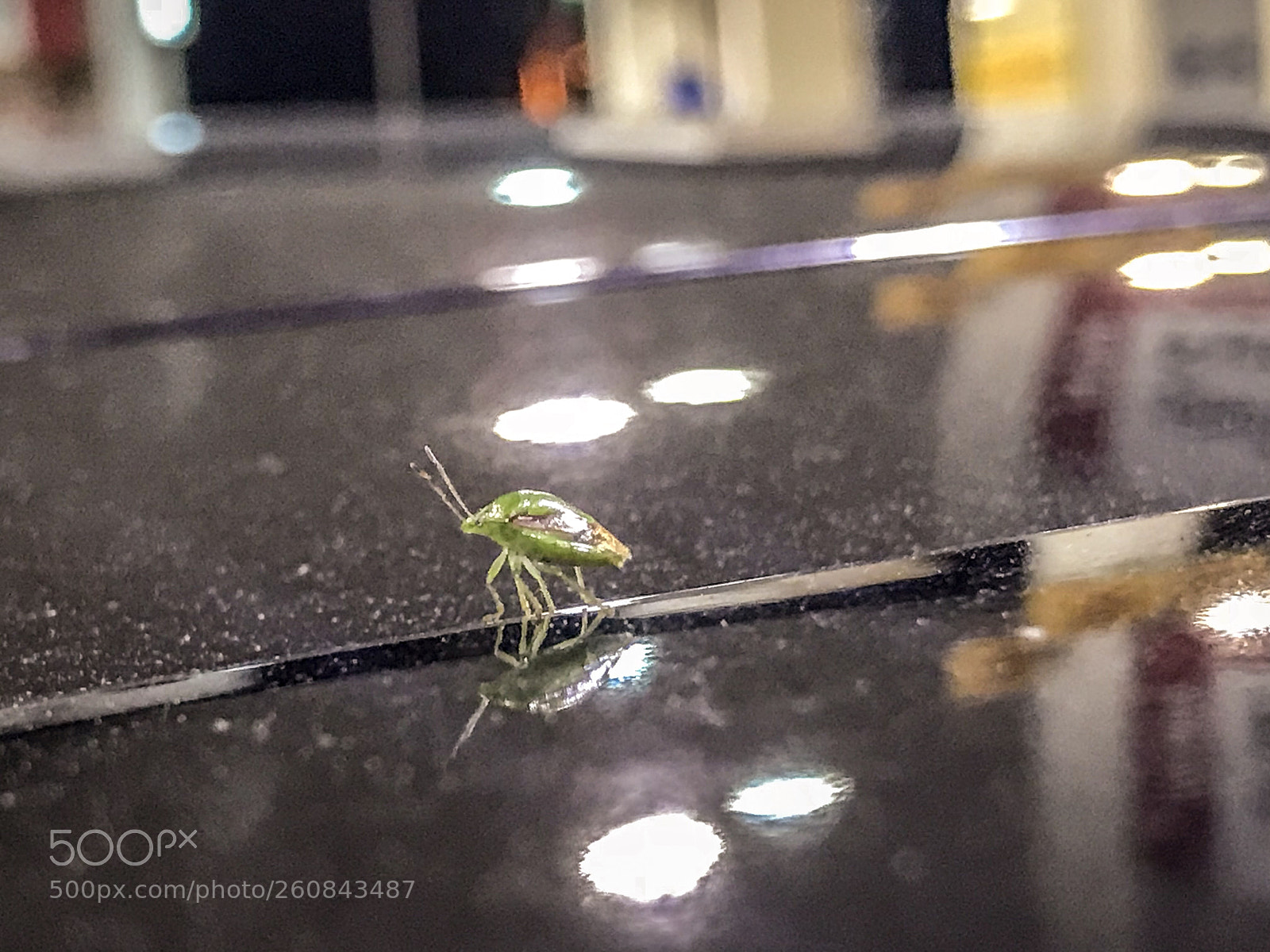 Apple iPhone 7 Plus sample photo. Untitled photography