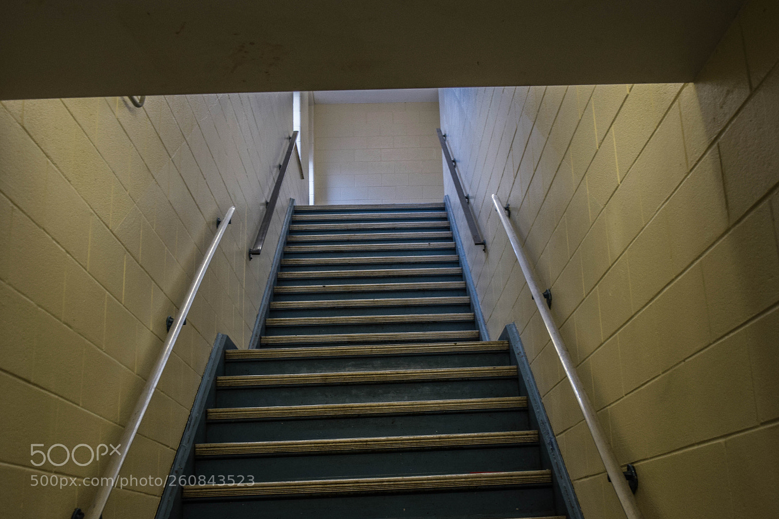 Nikon D3300 sample photo. Line leading of the photography
