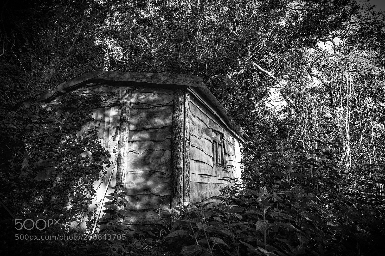 Nikon D5300 sample photo. The abandoned hut photography