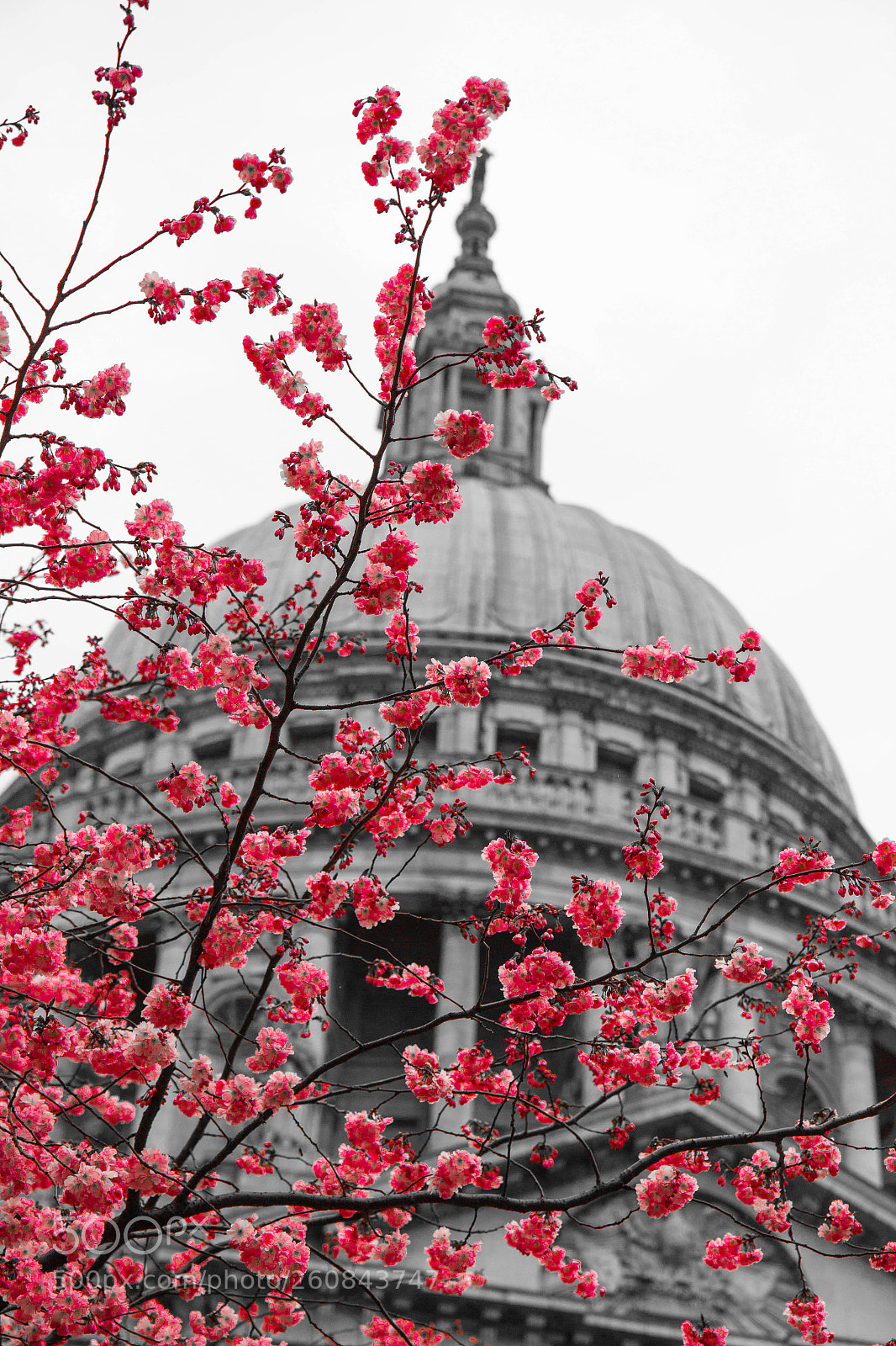 Canon EOS 600D (Rebel EOS T3i / EOS Kiss X5) sample photo. St pauls b&w photography