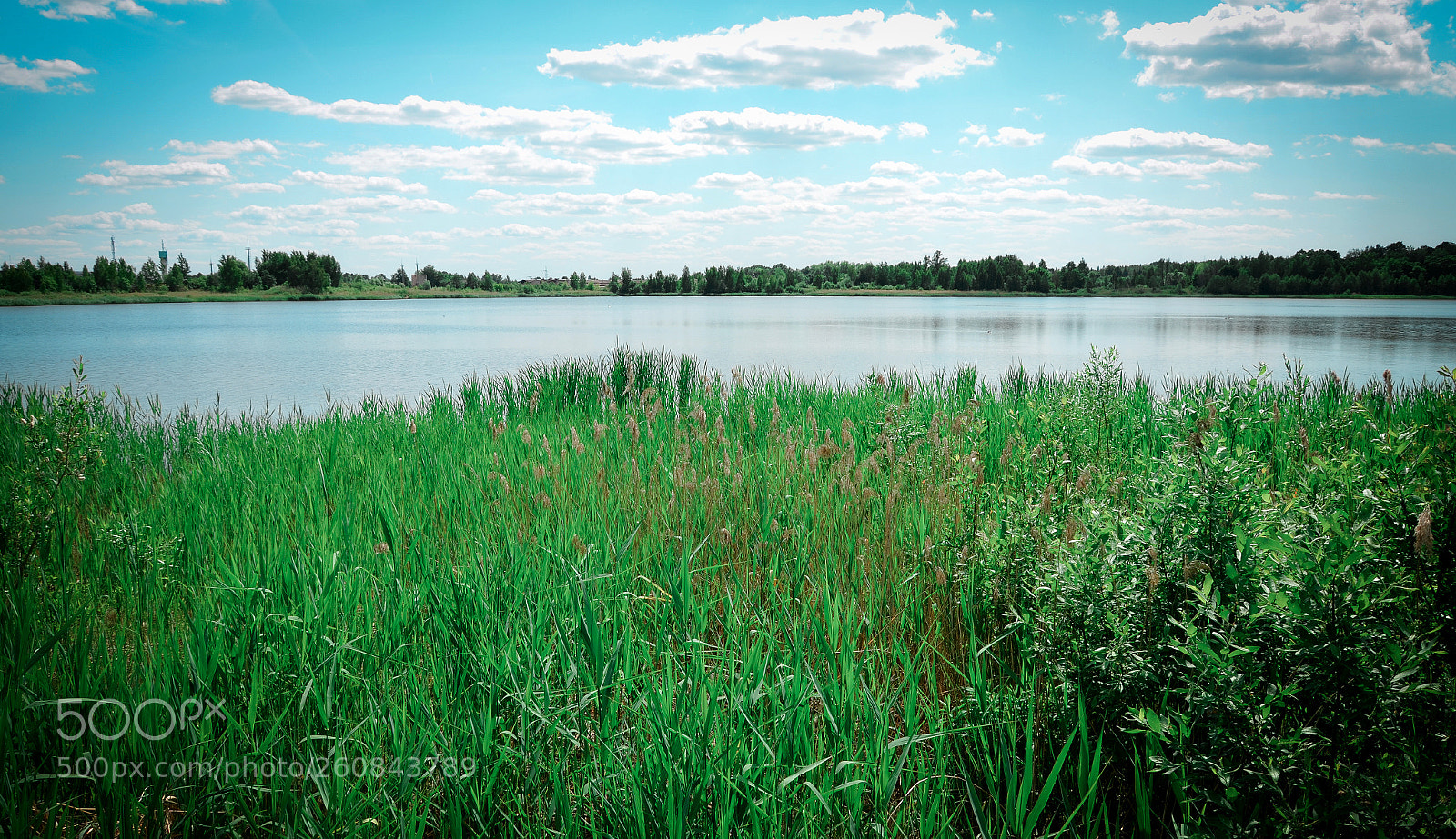 Nikon D5100 sample photo. May heat photography