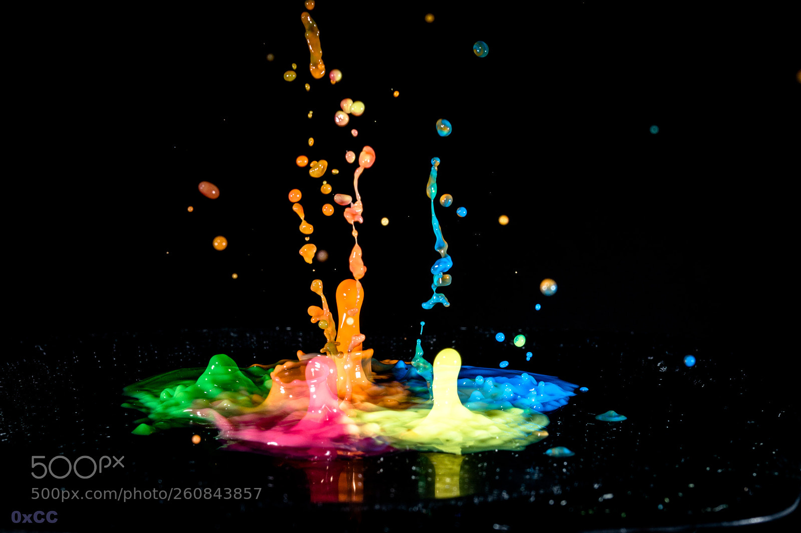 Canon EOS 7D Mark II sample photo. Life is colored photography