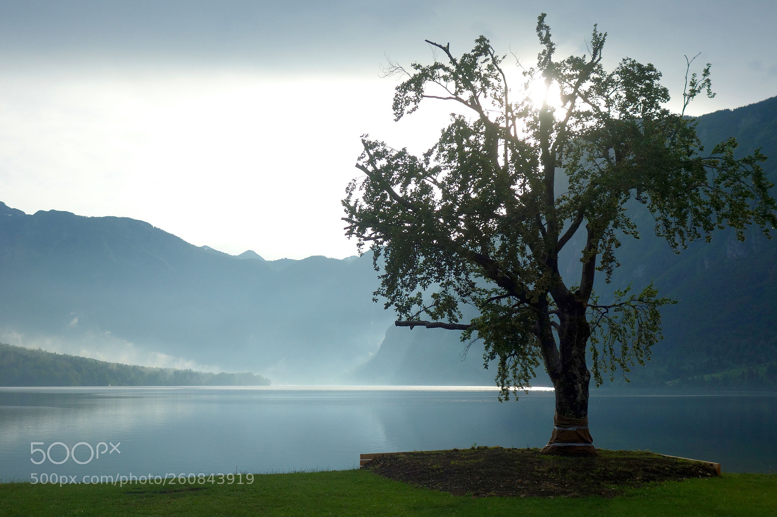 Sony Cyber-shot DSC-RX100 sample photo. Bohinj photography