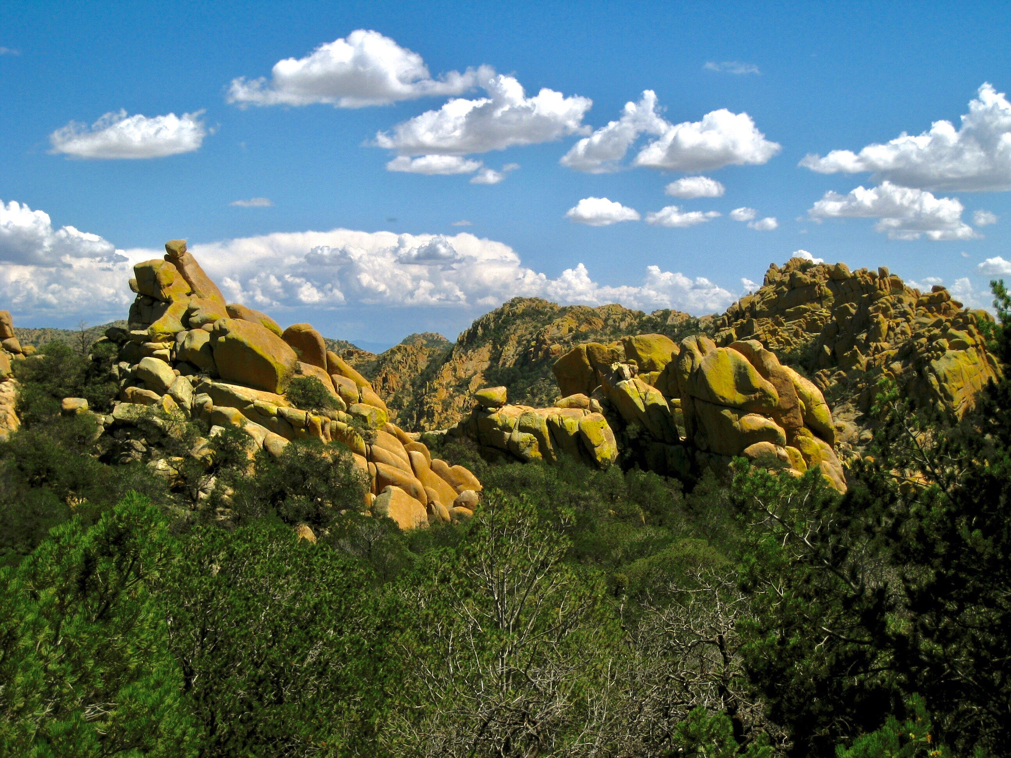 Canon POWERSHOT SD870 IS sample photo. Cochise stronghold, dragoon mountains, arizona 2008 photography