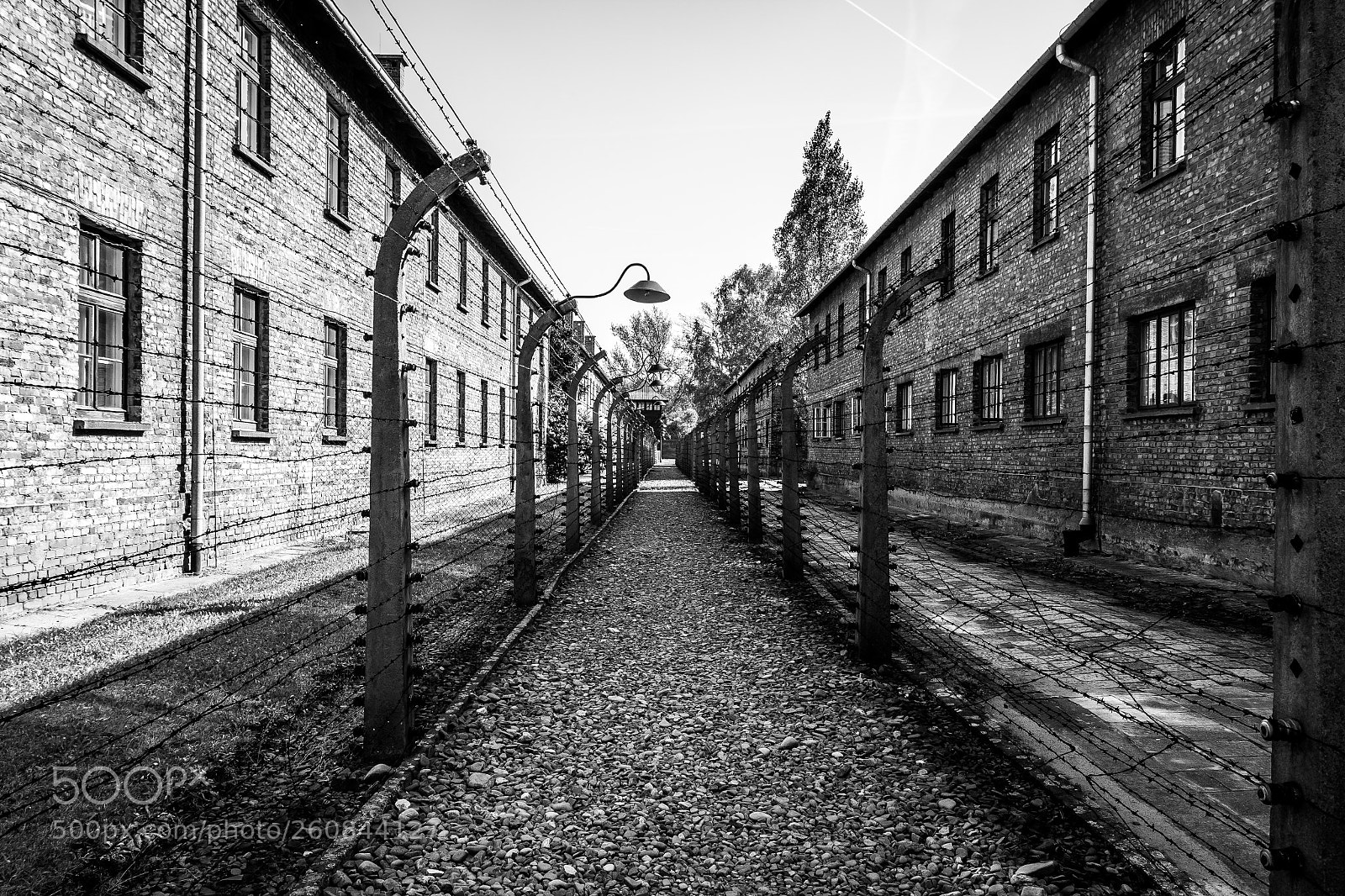 Canon EOS 550D (EOS Rebel T2i / EOS Kiss X4) sample photo. Auschwitz photography