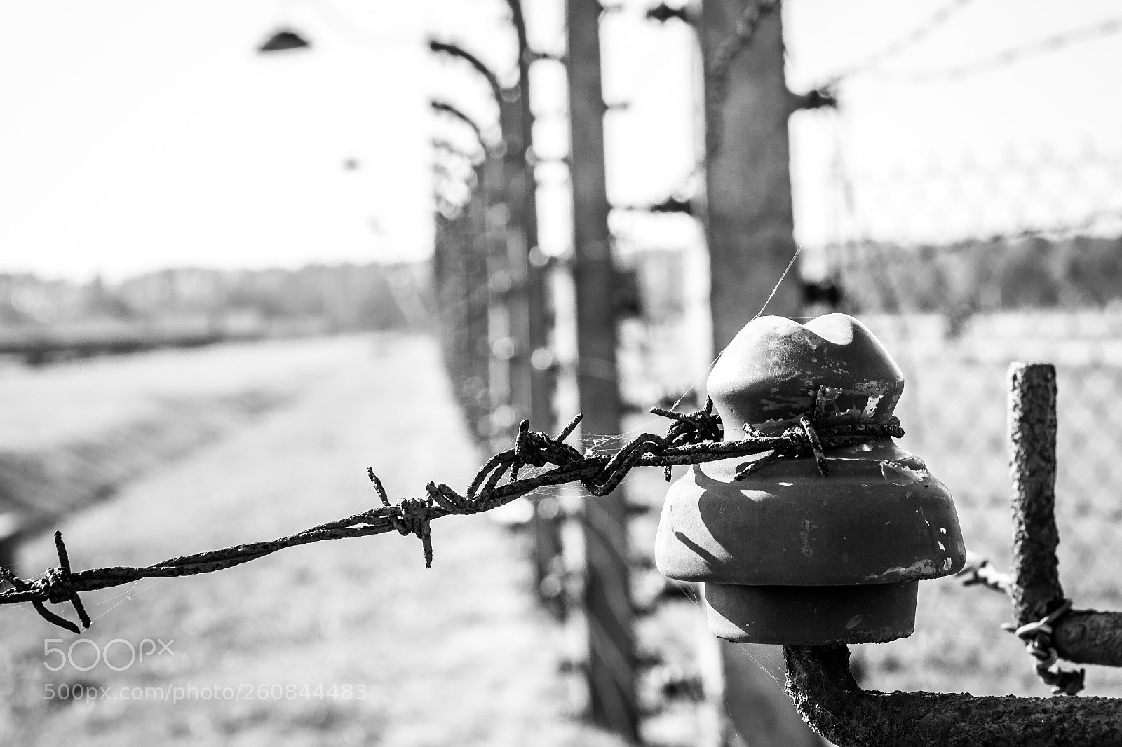 Canon EOS 550D (EOS Rebel T2i / EOS Kiss X4) sample photo. Auschwitz barbwire photography