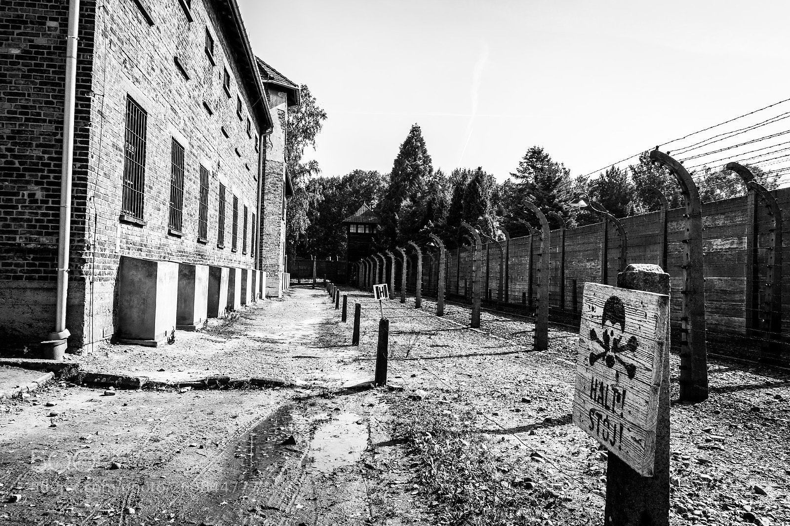 Canon EOS 550D (EOS Rebel T2i / EOS Kiss X4) sample photo. Auschwitz halt photography