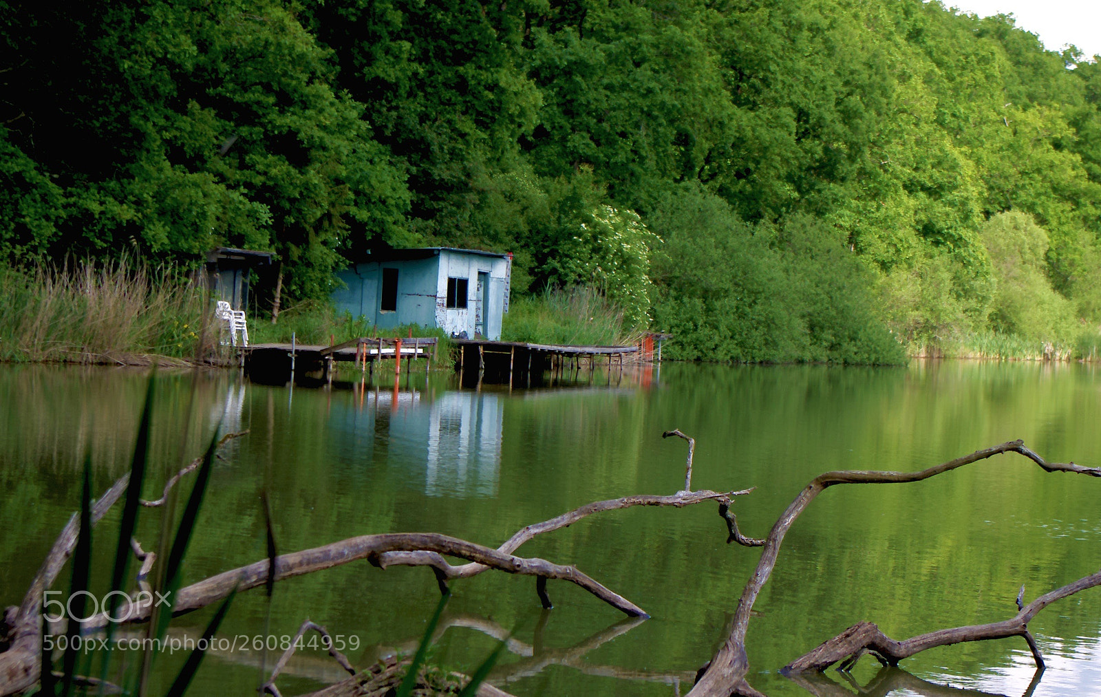 Pentax K-r sample photo. Untitled photography