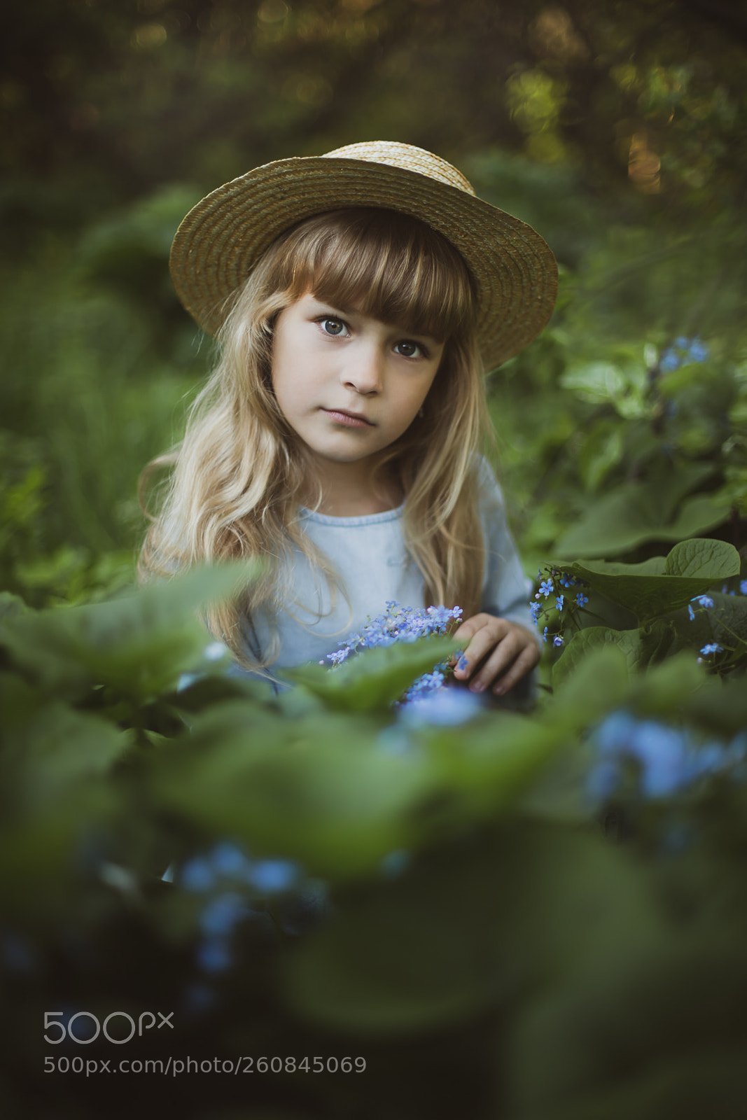 Canon EOS 5D Mark IV sample photo. Blossom garden photography
