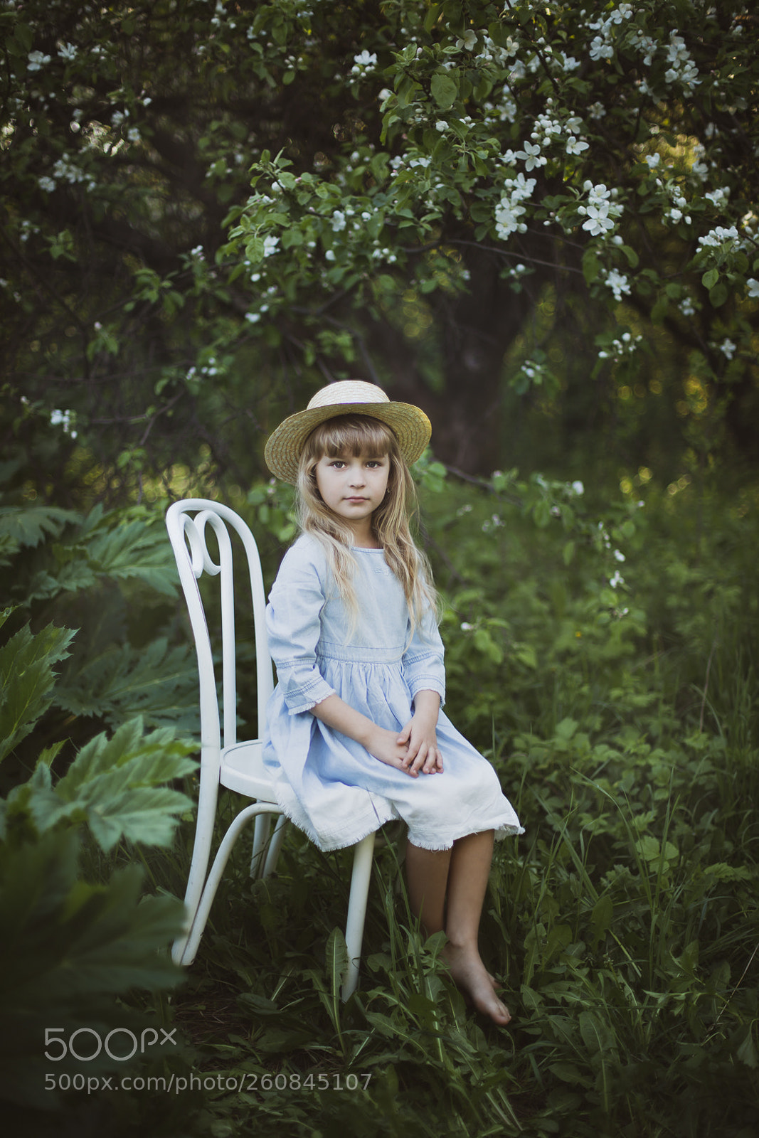 Canon EOS 5D Mark IV sample photo. Blossom garden photography