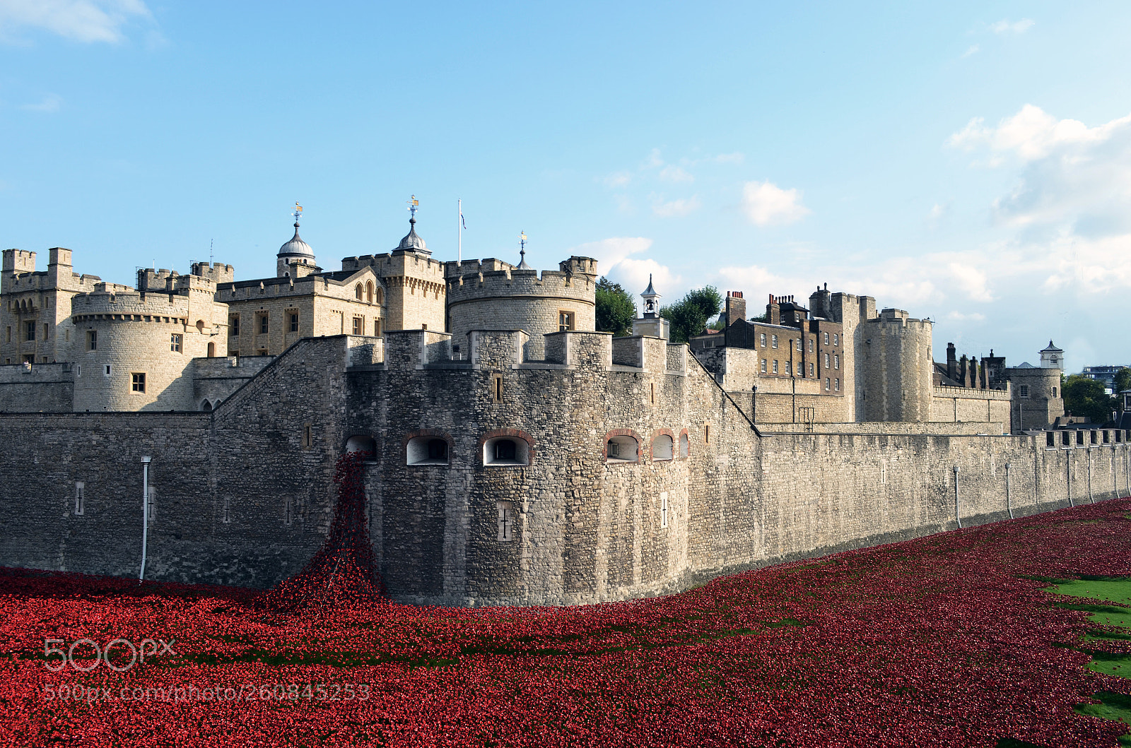 Nikon D5100 sample photo. Remembrance photography