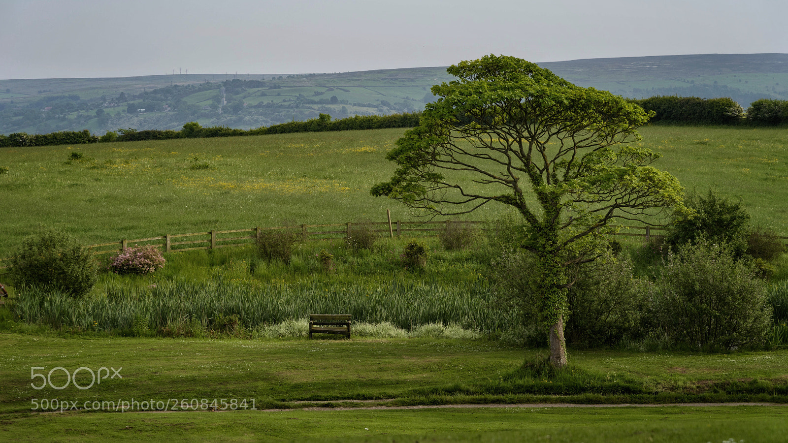 Nikon D810 sample photo. Untitled photography