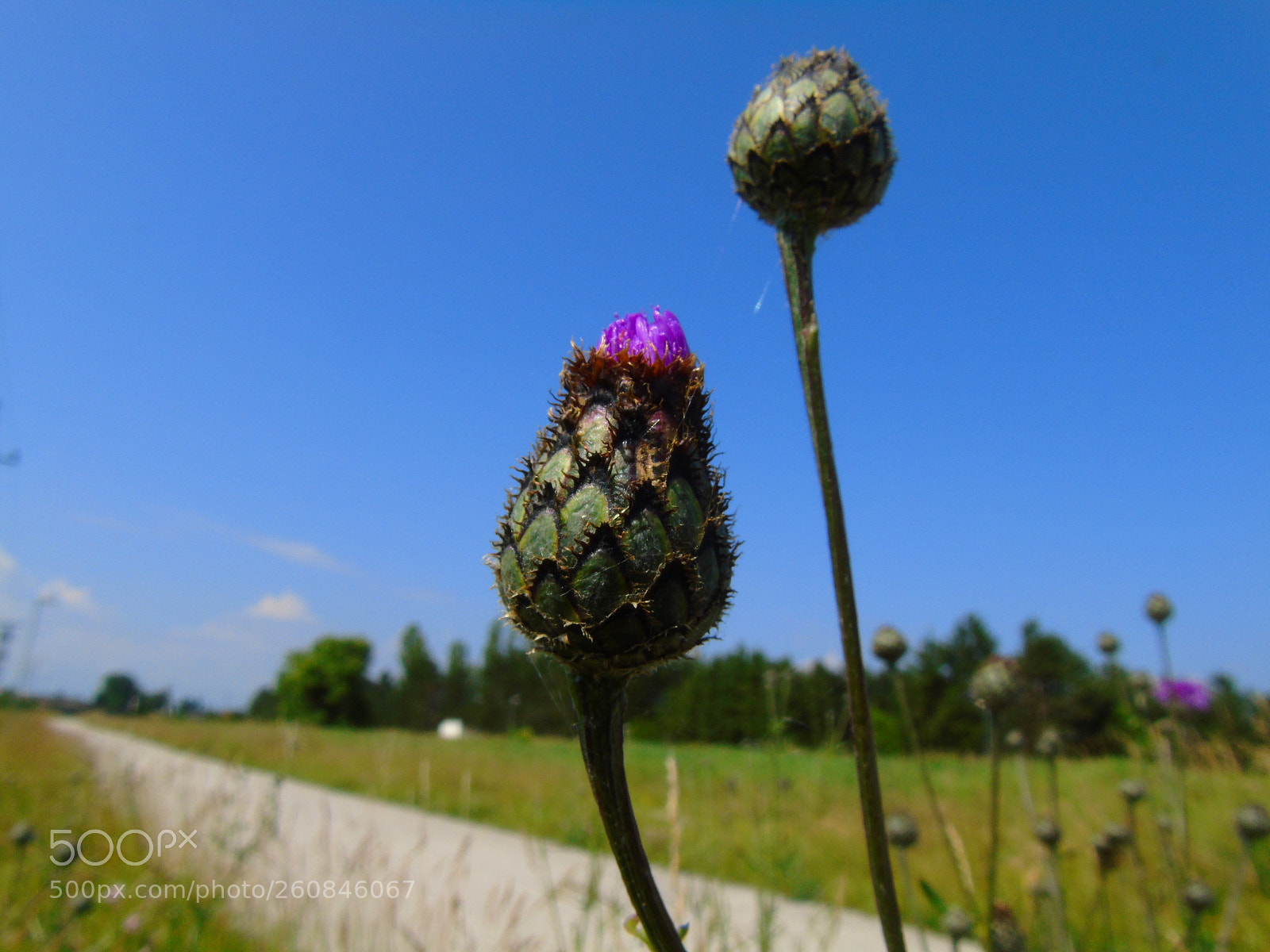 Sony Cyber-shot DSC-H400 sample photo. +++ photography