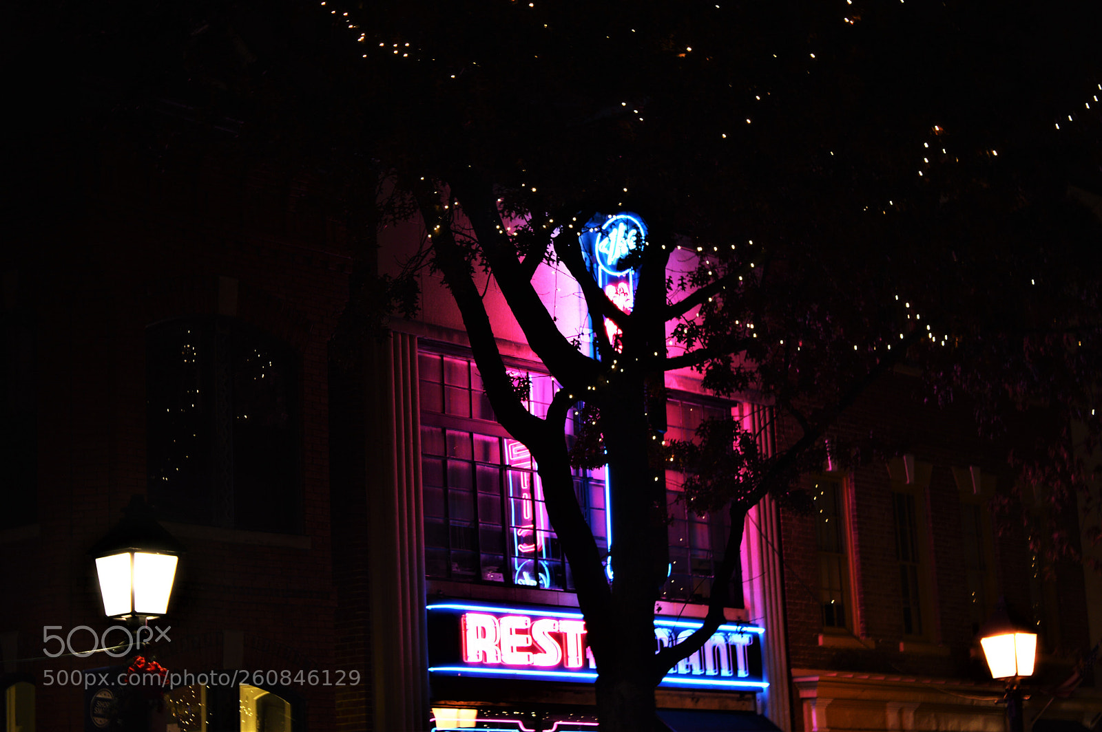 Nikon D3200 sample photo. Halved photography