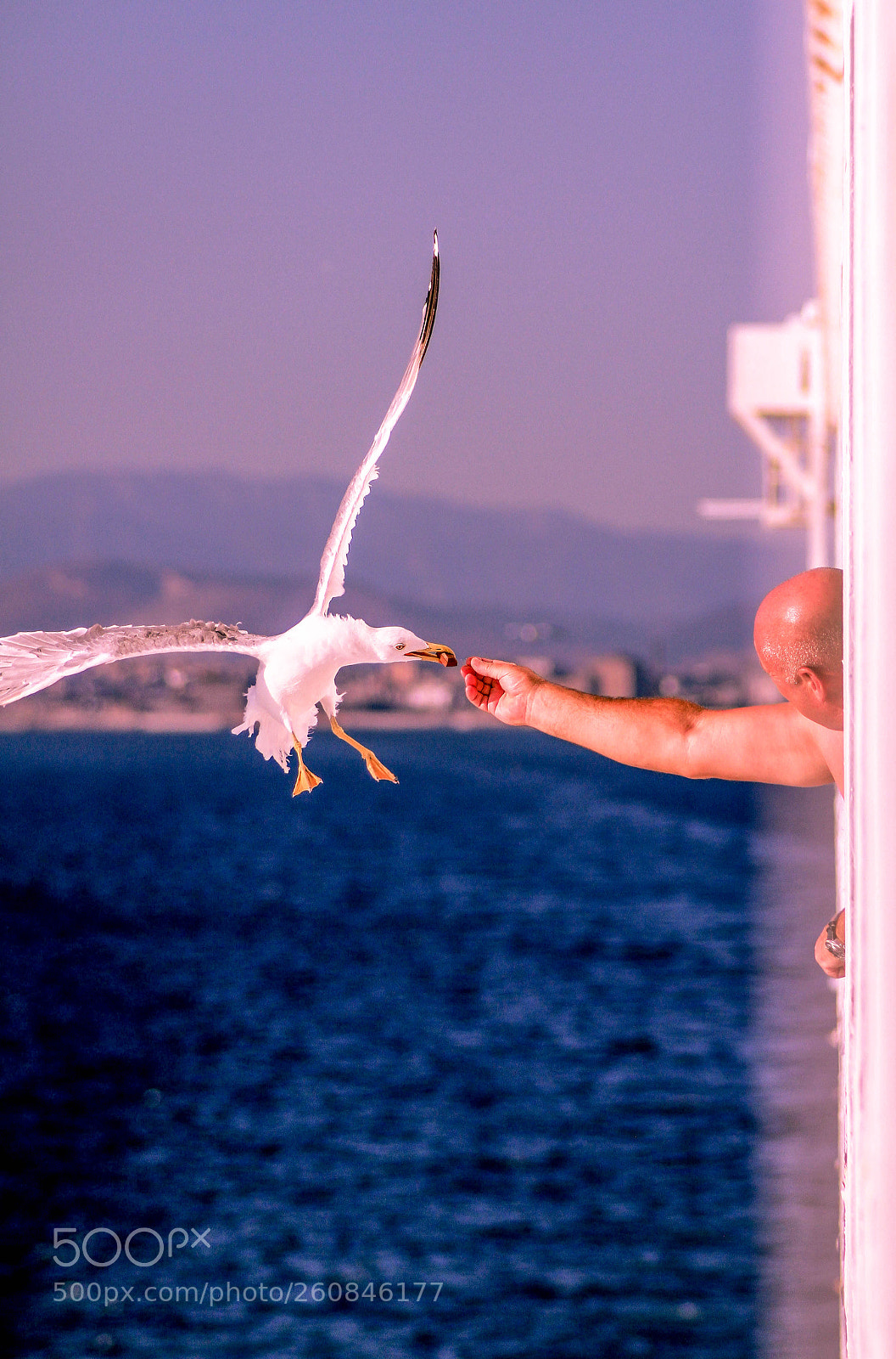 Canon EOS 7D sample photo. Img photography