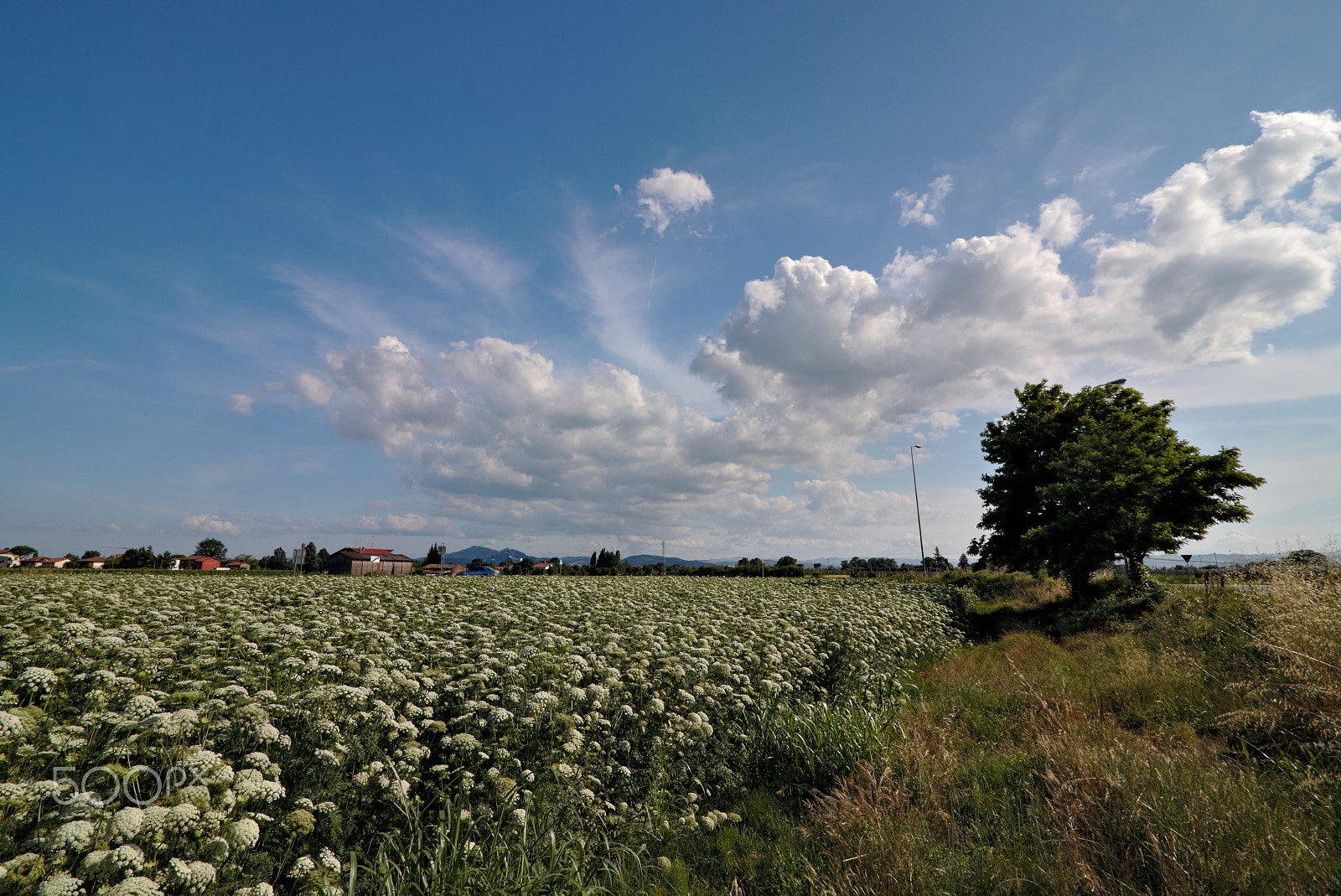 Canon EOS 70D sample photo. Under the sky photography