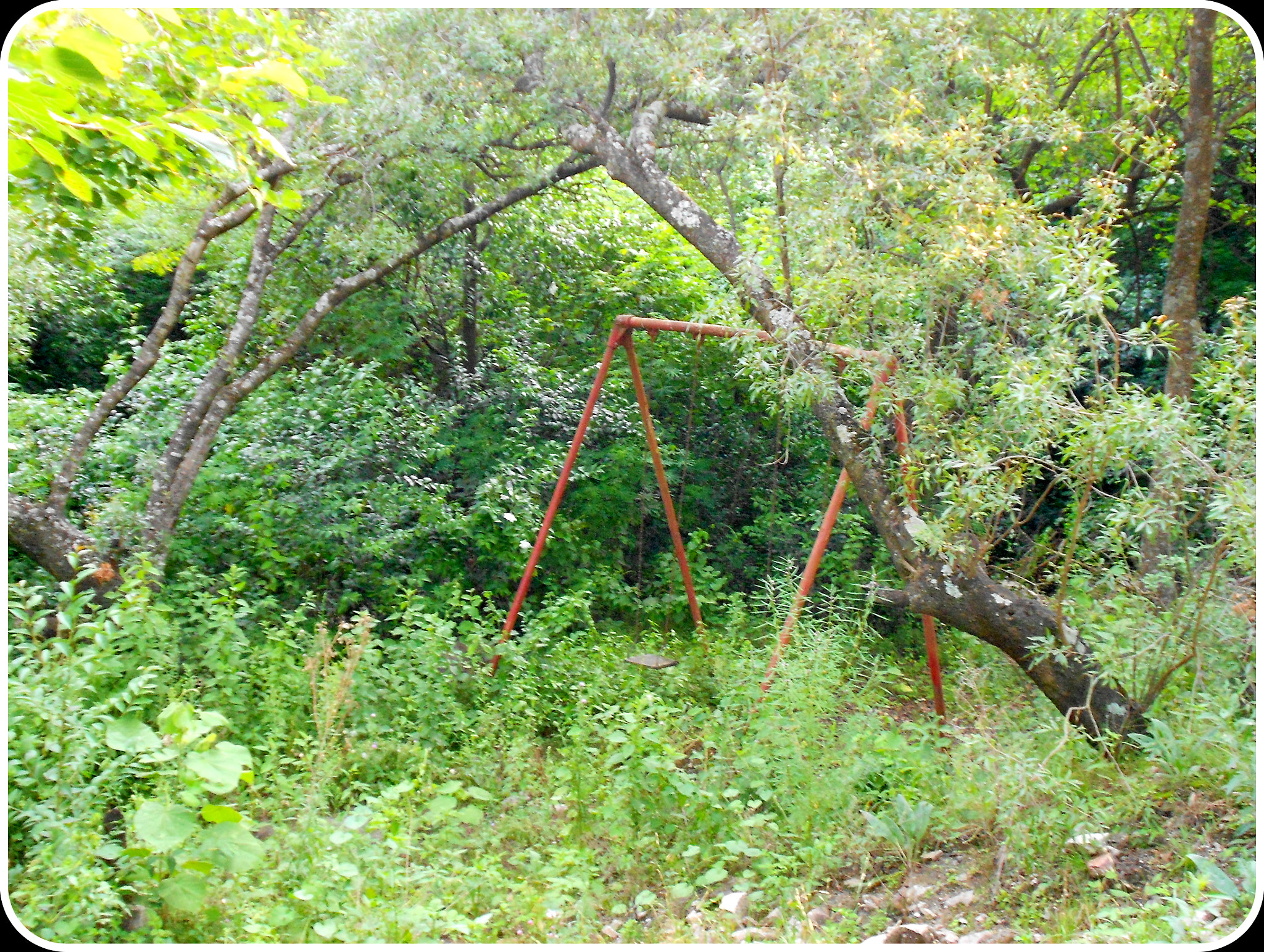 Nikon Coolpix S3100 sample photo. Infancia abandonada. photography