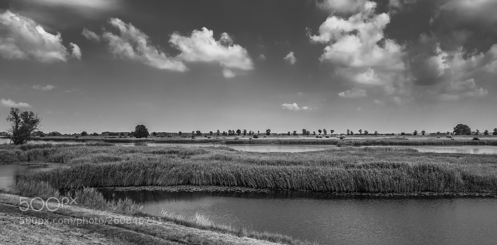 Nikon D7500 sample photo. Im oderbruch photography