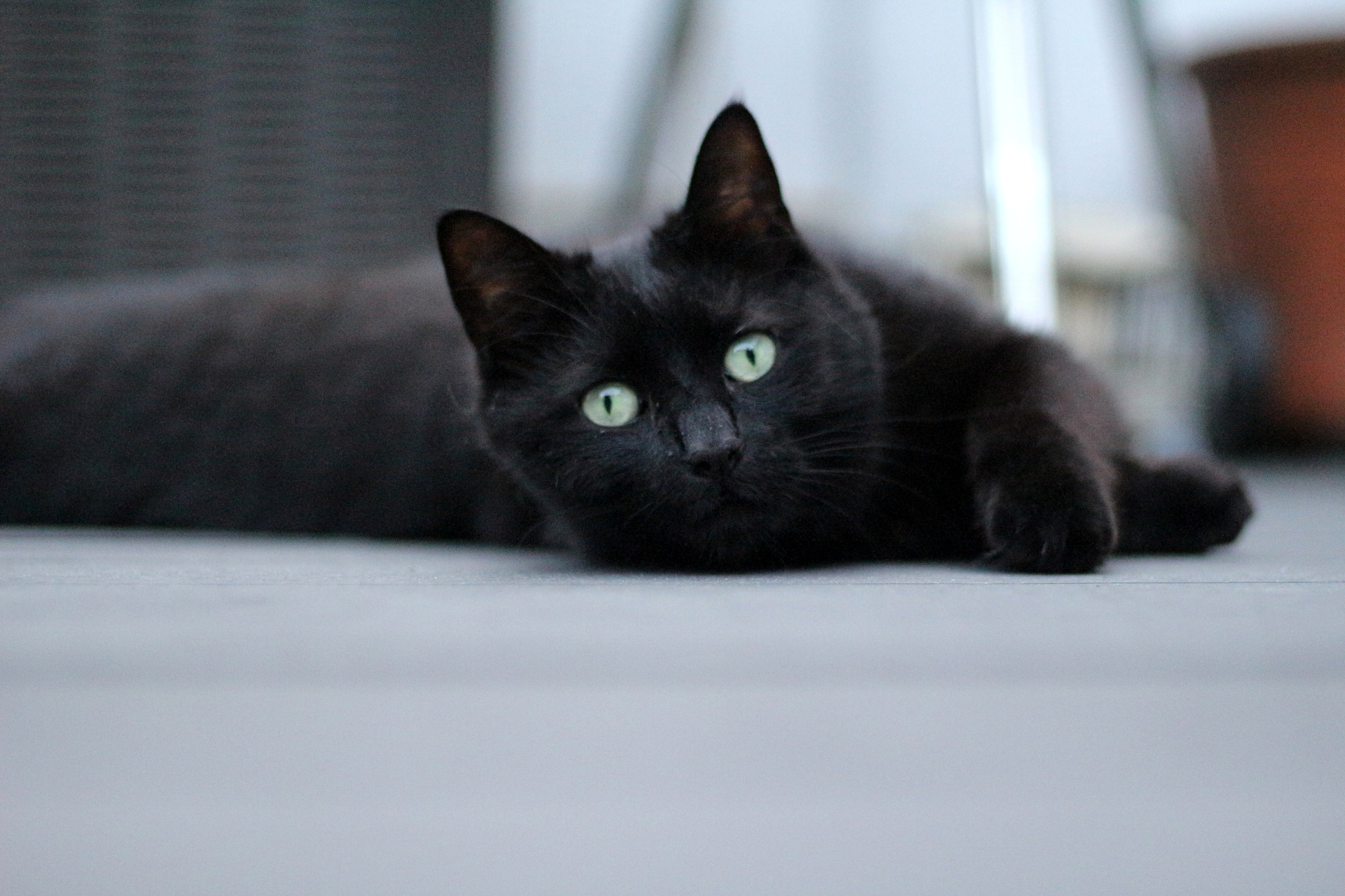 Canon EOS 100D (EOS Rebel SL1 / EOS Kiss X7) + Canon EF 50mm F1.8 STM sample photo. Draw me like one of your french girls photography