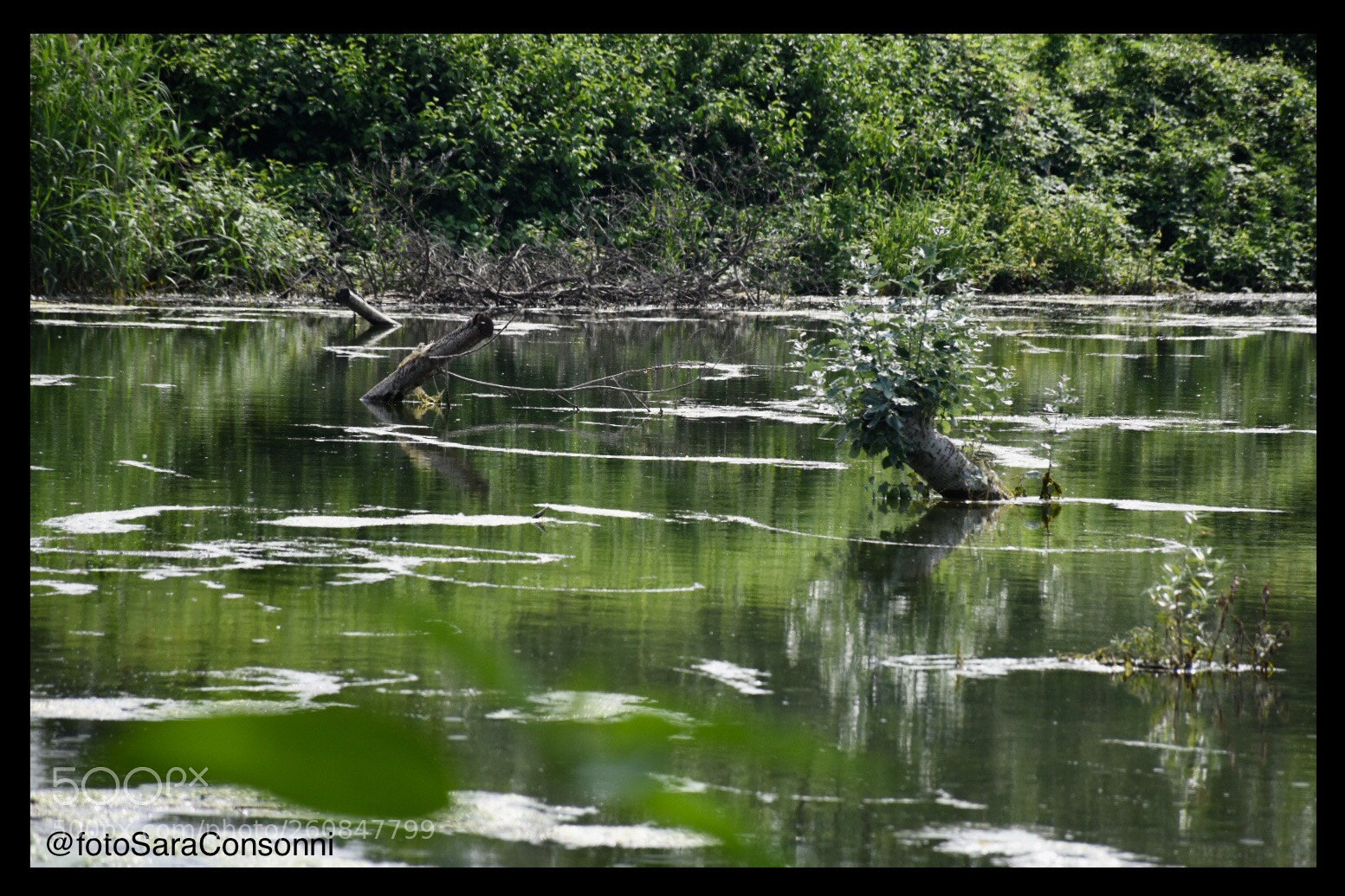 Nikon D7200 sample photo. Lago photography
