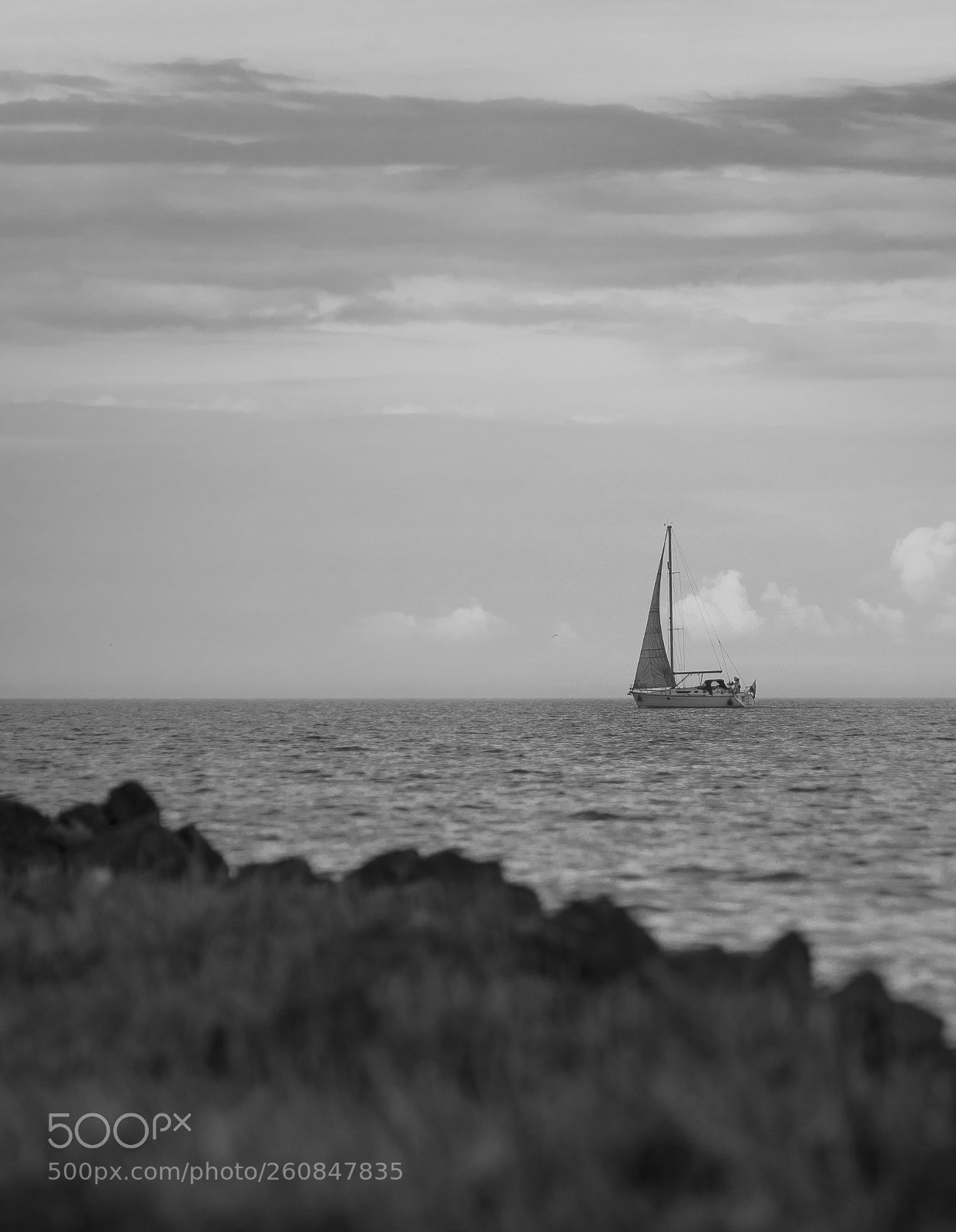 Nikon D700 sample photo. Going with the wind photography