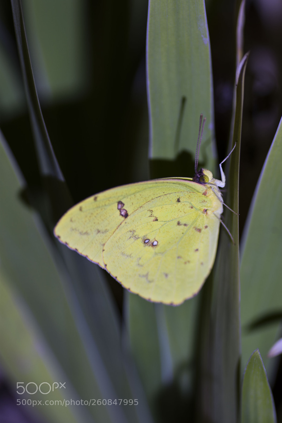 Nikon D7200 sample photo. Untitled photography