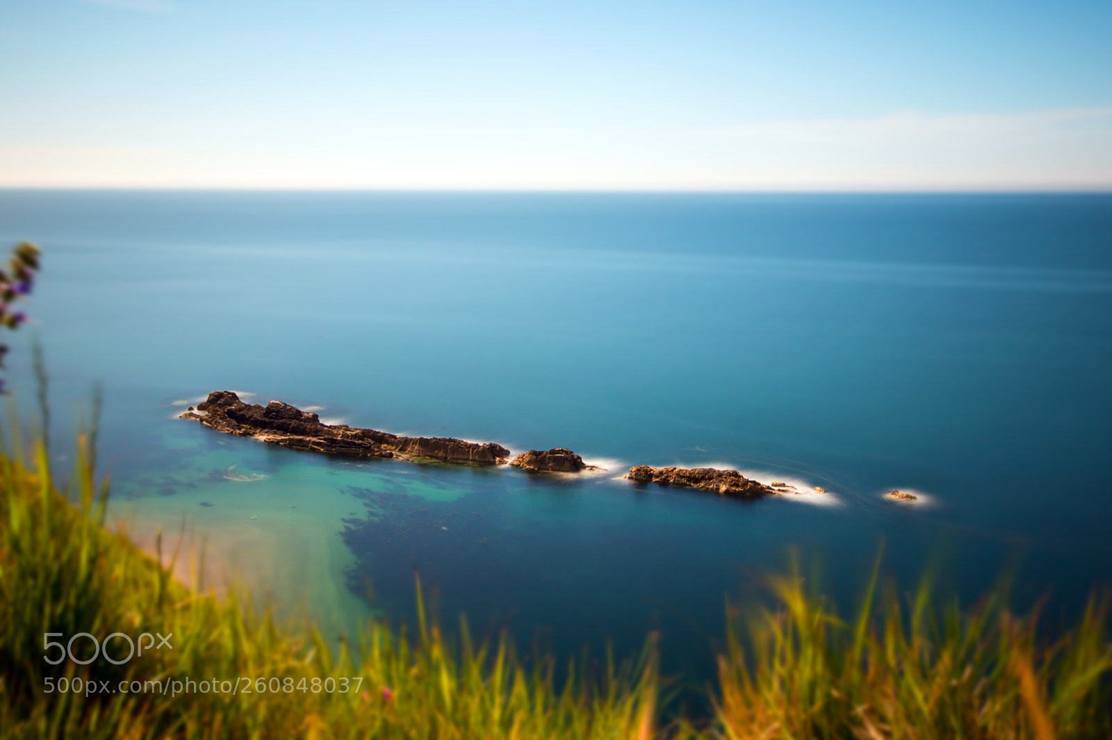 Canon EOS 7D Mark II sample photo. Man o war tilted photography