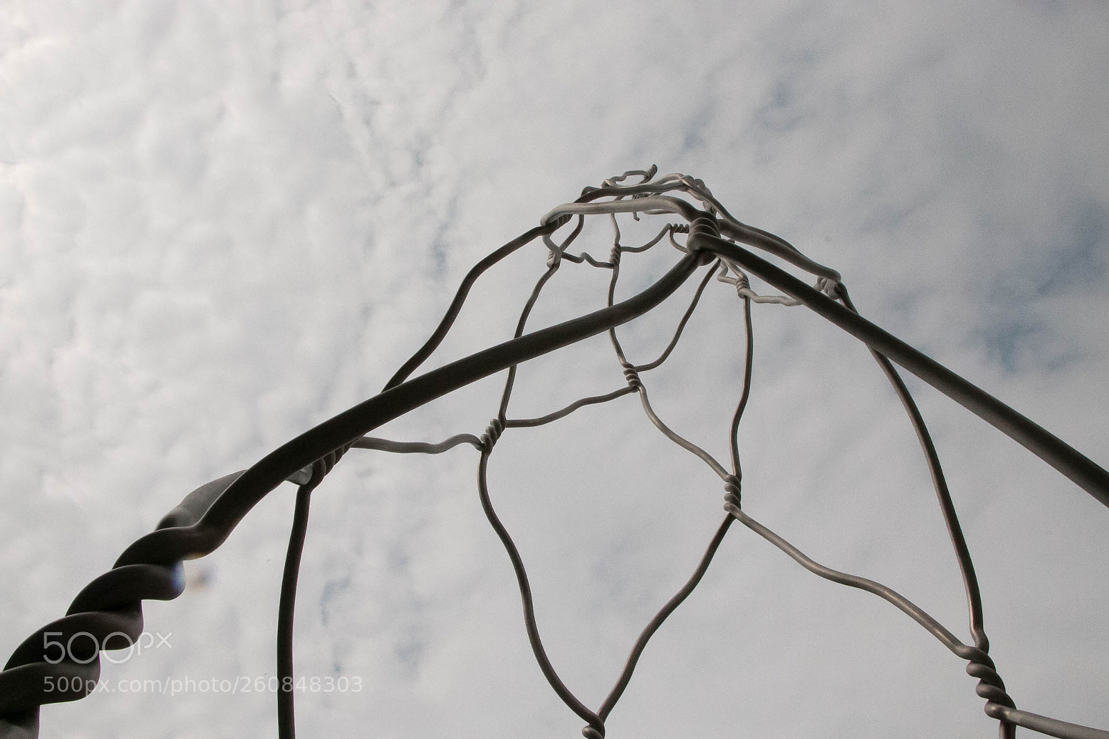 Canon EOS 70D sample photo. Muselage de champagne? photography