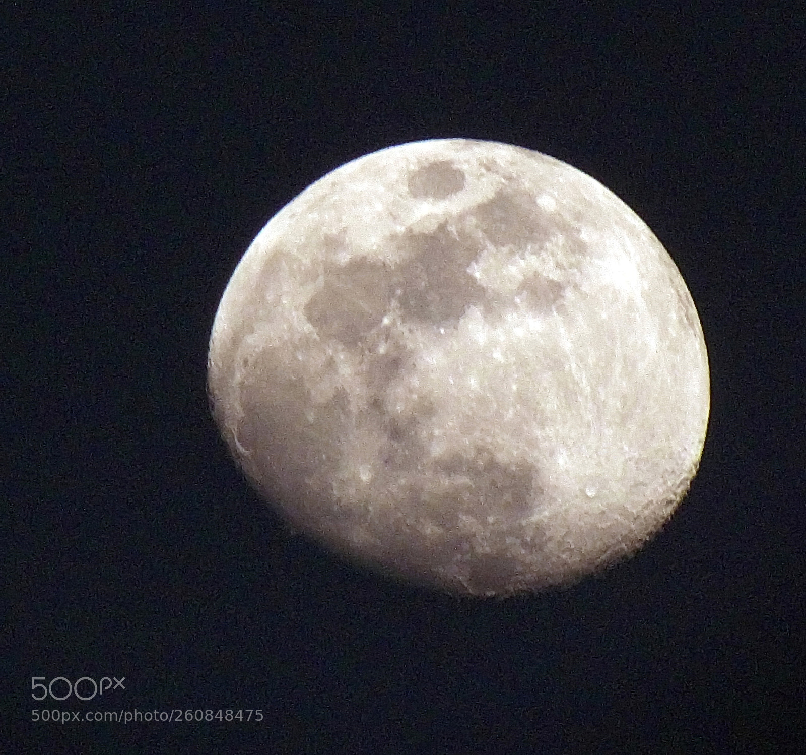 Canon PowerShot SX30 IS sample photo. Nearly full photography