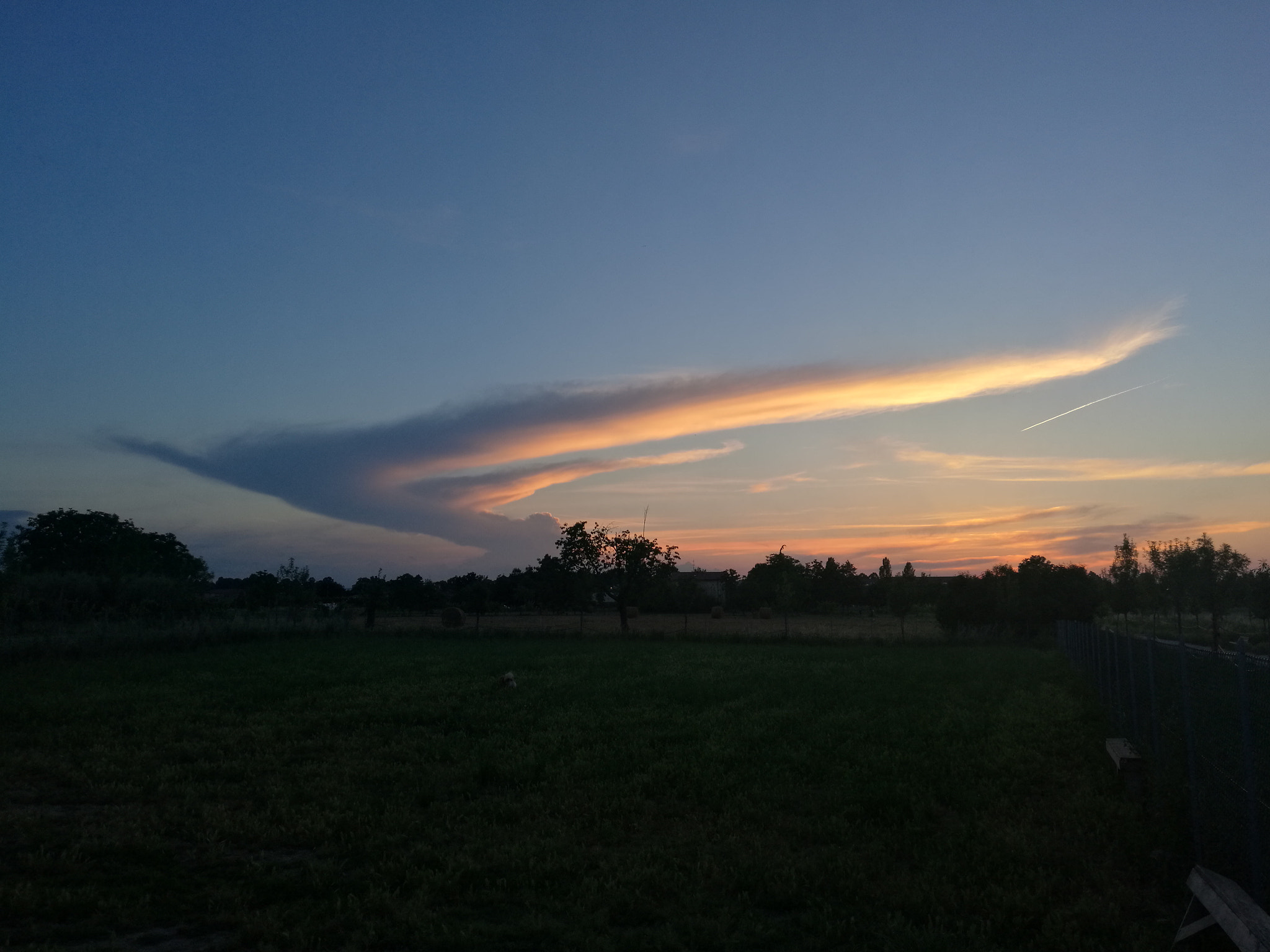 HUAWEI Mate 8 sample photo