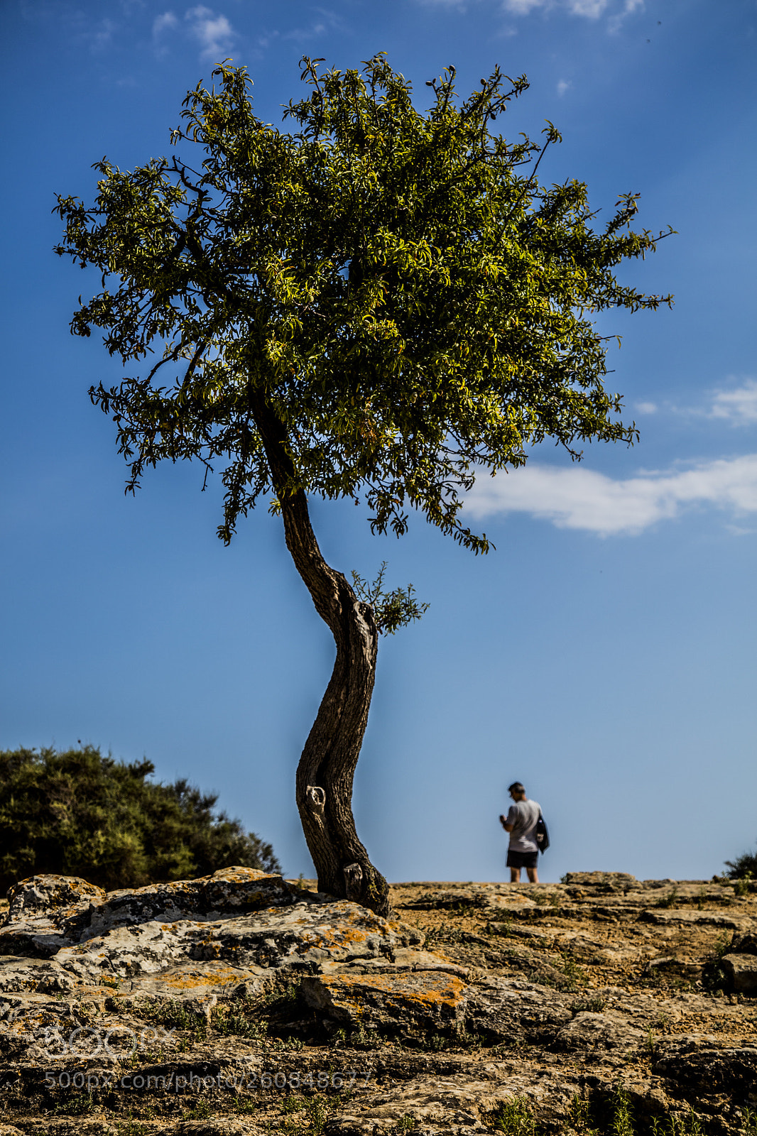 Canon EOS 5DS sample photo. Catturando particolari photography