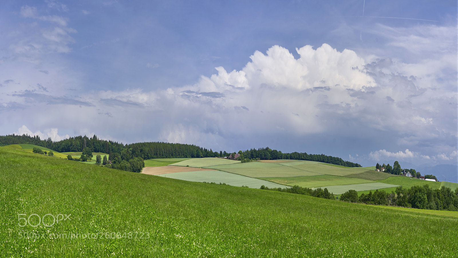 Sony a7R II sample photo. The rite of spring photography