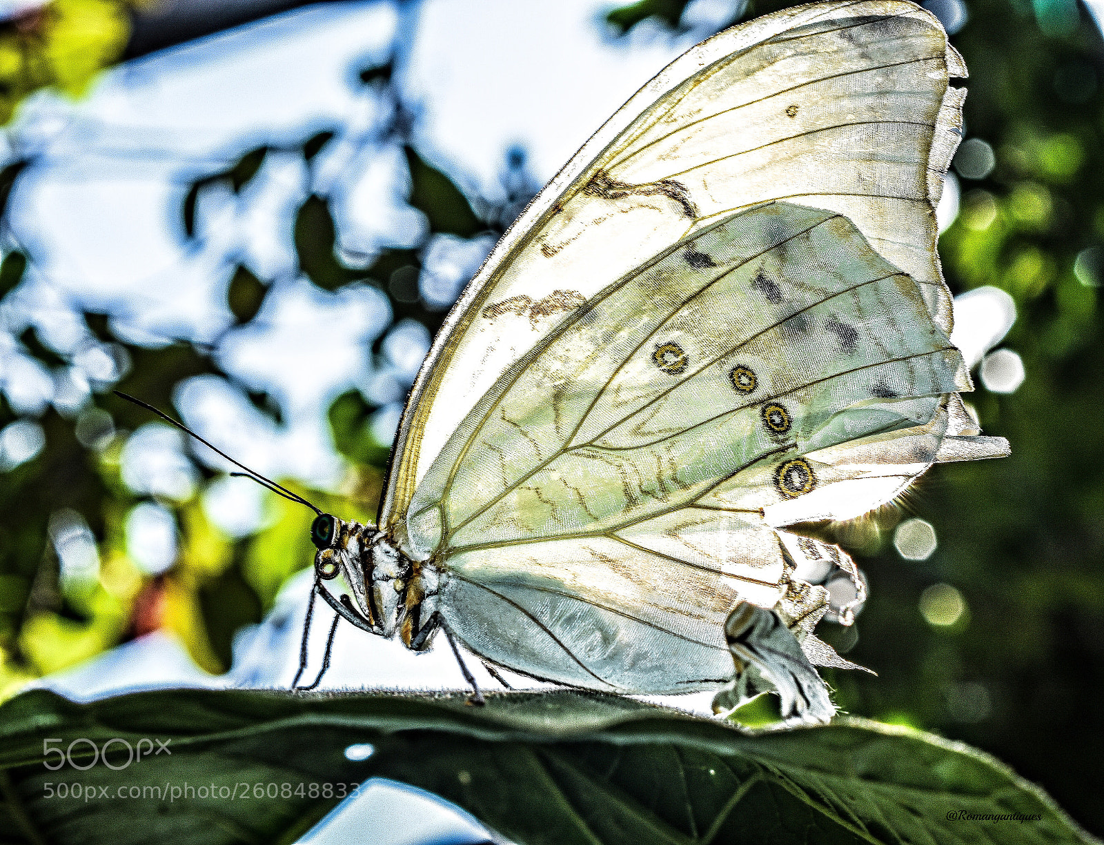 Nikon D7200 sample photo. Light! photography