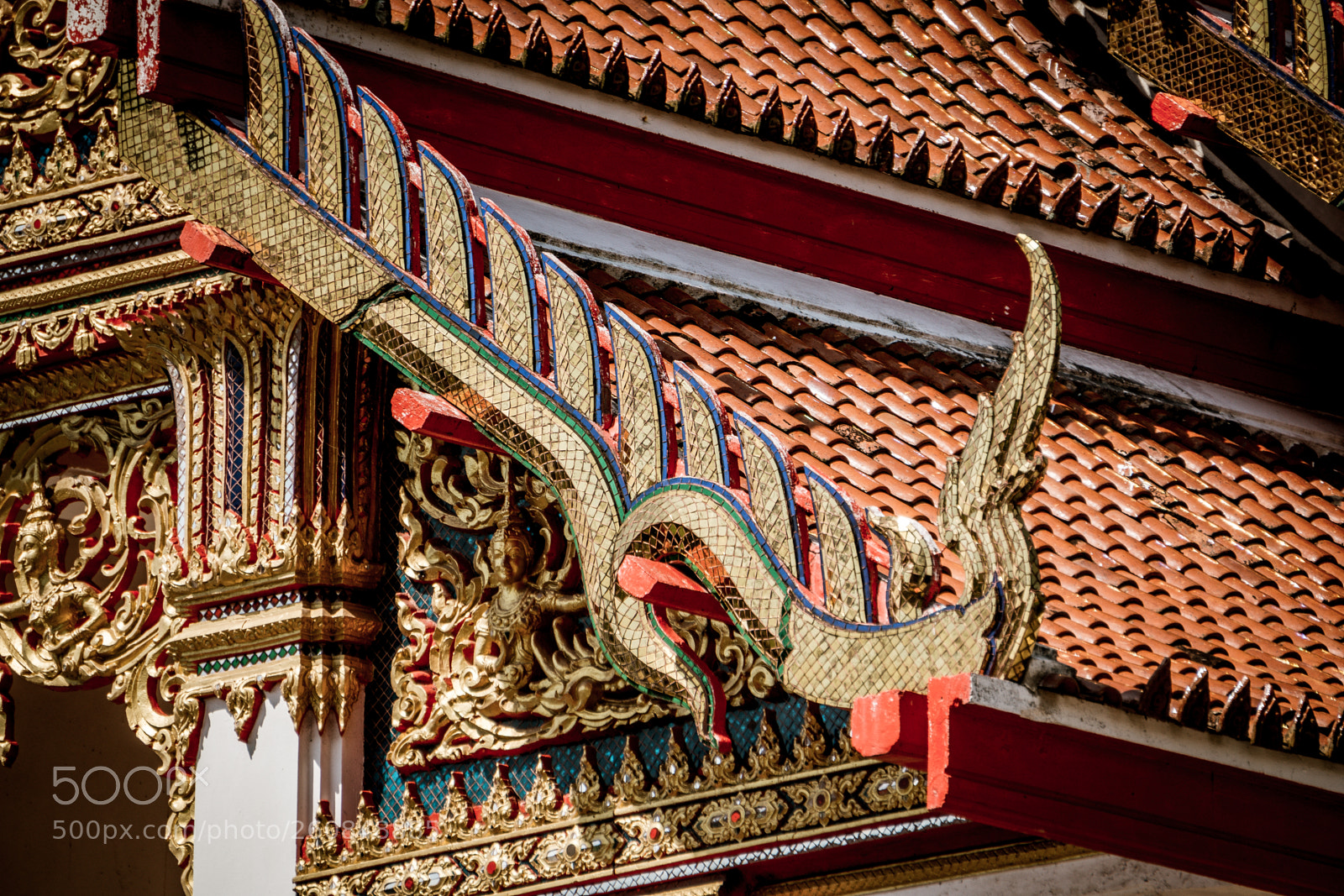 Sony a6000 sample photo. Dsc photography