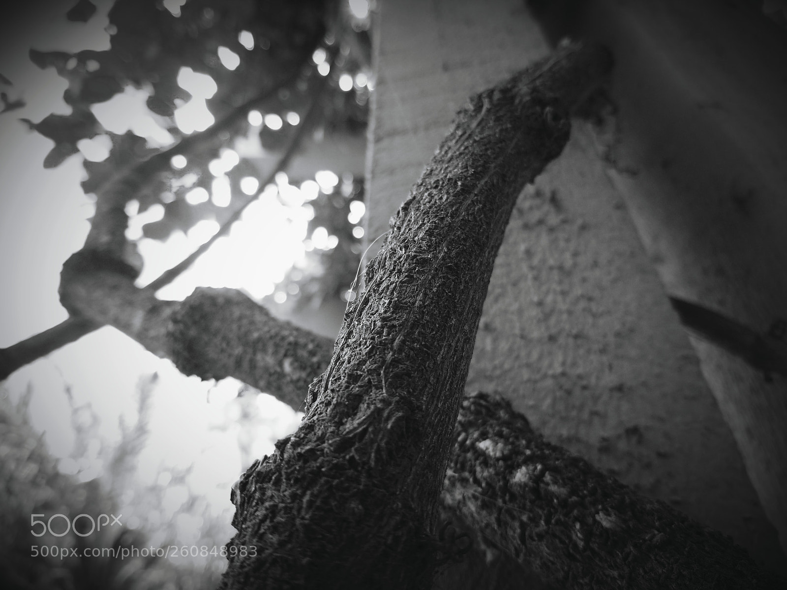Samsung Galaxy S8+ sample photo. Twisted time photography