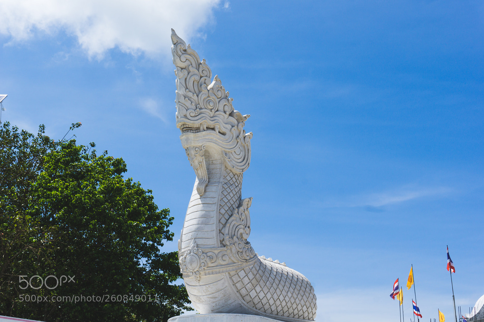 Sony a6000 sample photo. Dsc photography