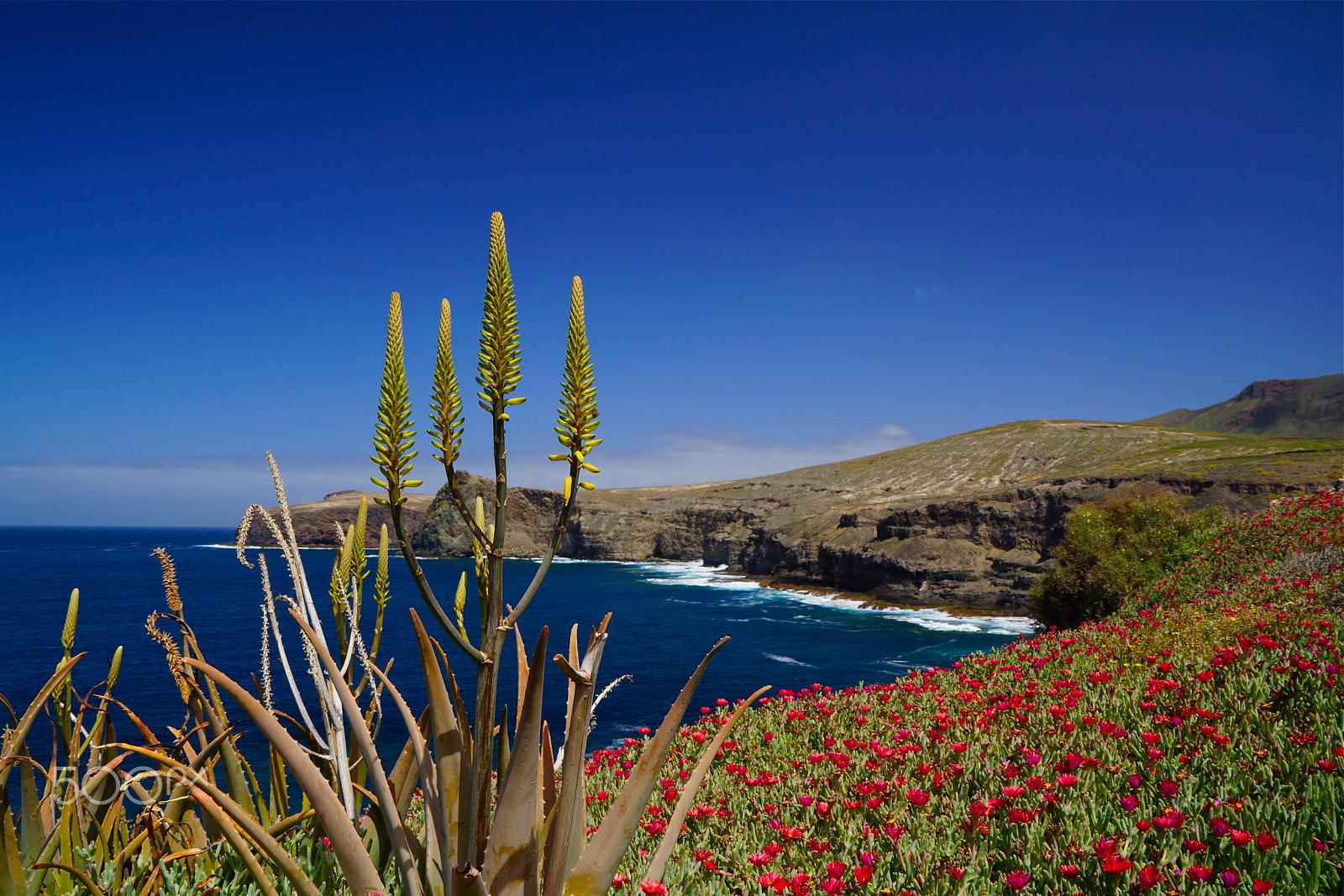 Sony DT 18-200mm F3.5-6.3 sample photo. Gran canaria viii, agaete photography