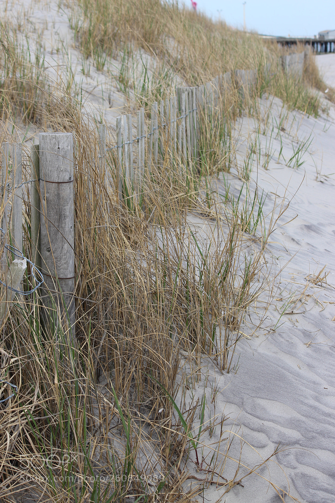 Canon EOS 700D (EOS Rebel T5i / EOS Kiss X7i) sample photo. Dunes photography