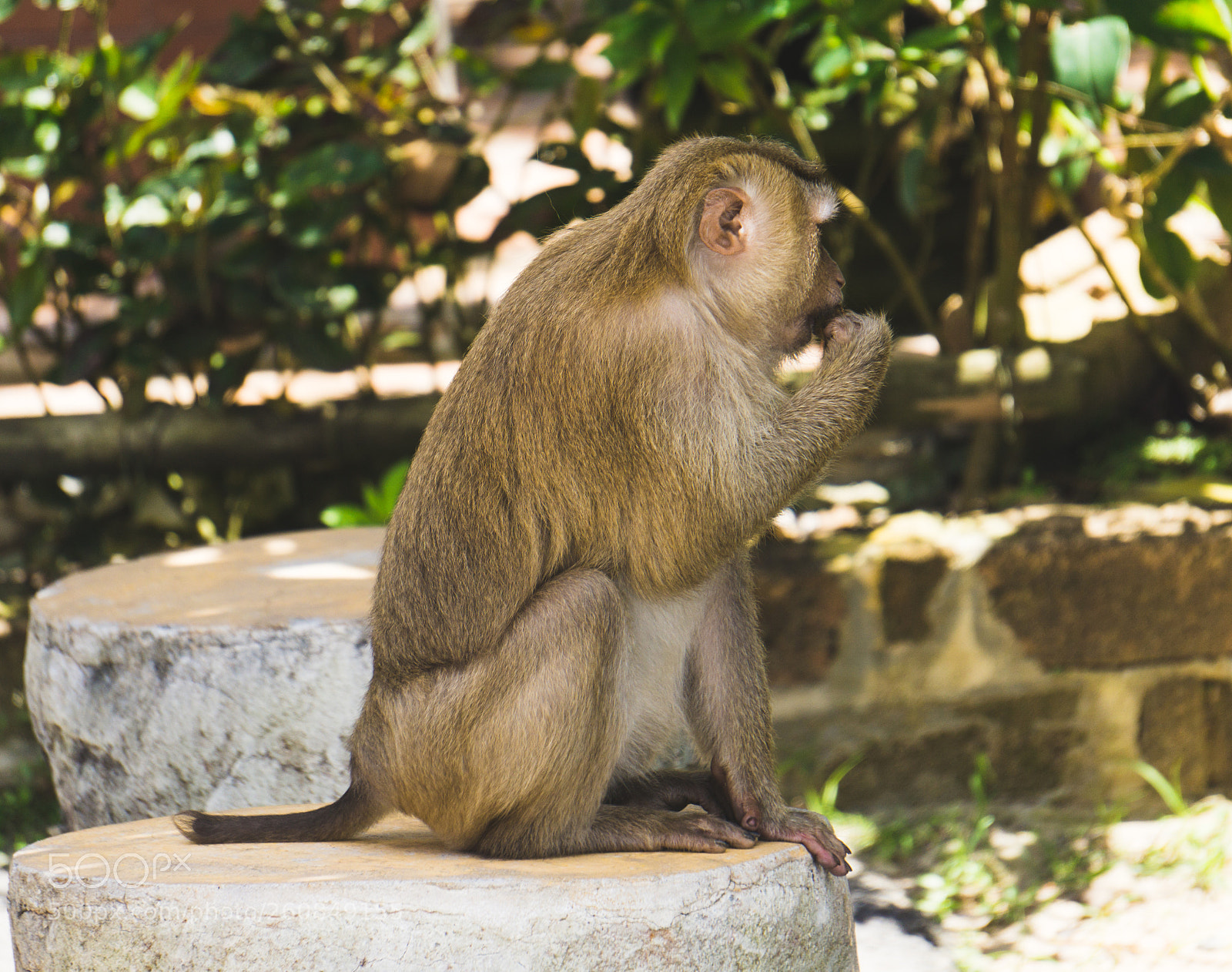 Sony a6000 sample photo. Dsc photography