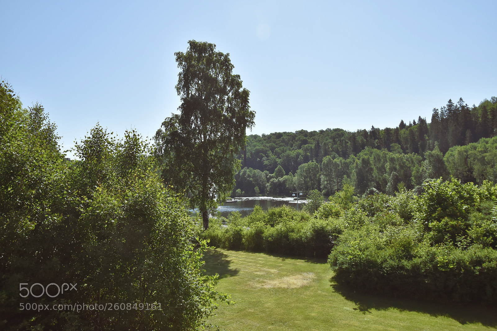 Nikon D5500 sample photo. Grönska photography